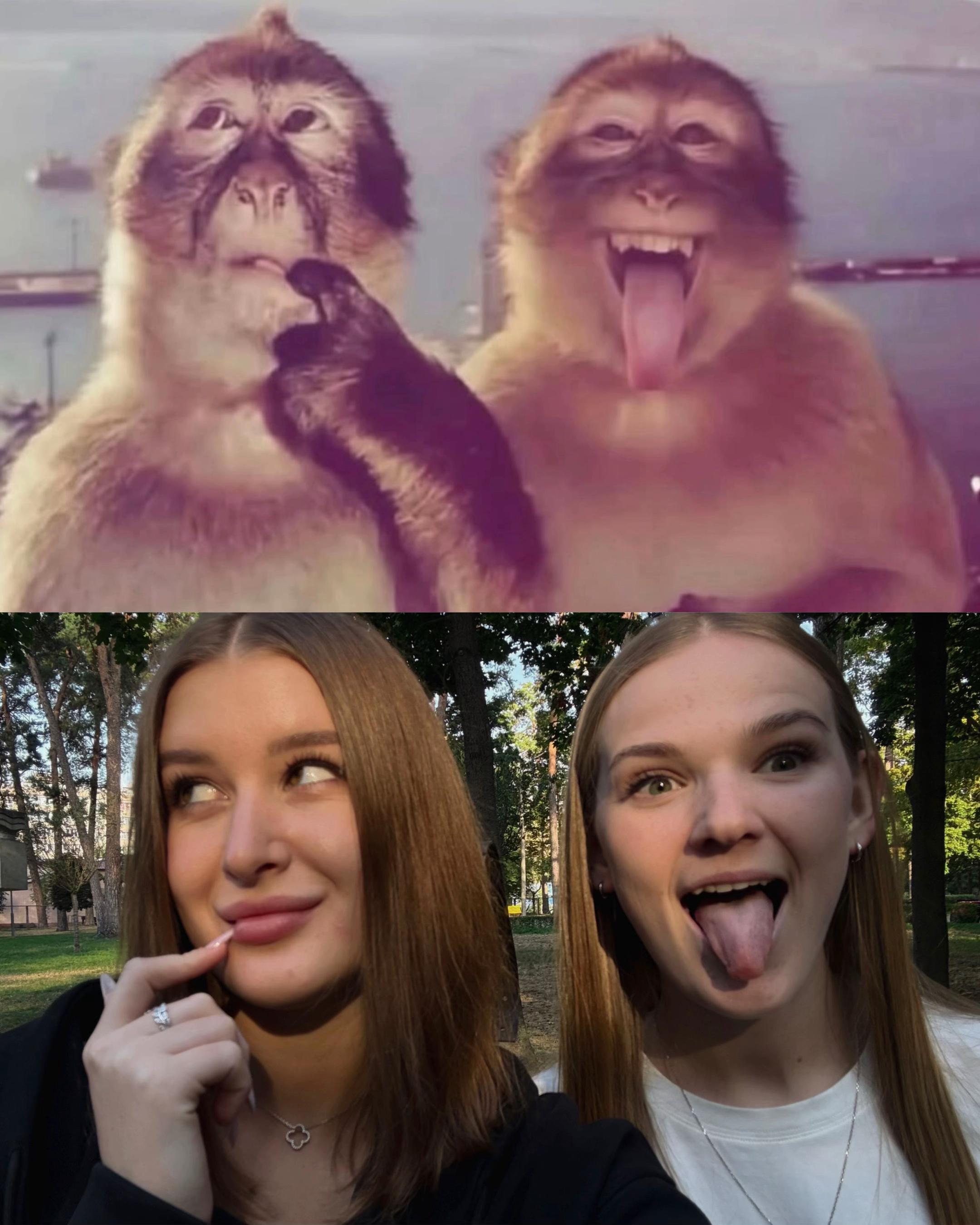 @alina