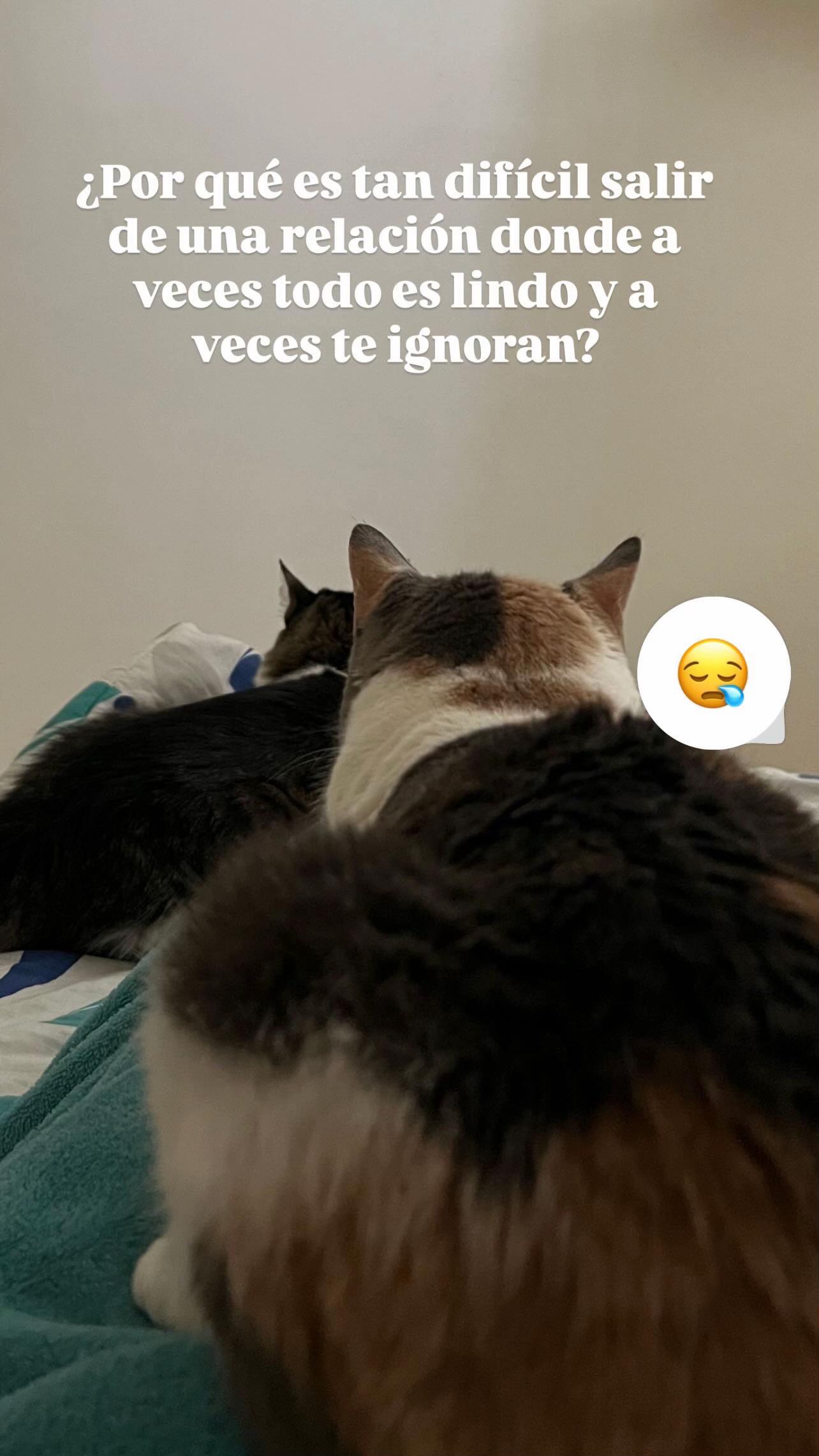 @LILIETH VASQUEZ B