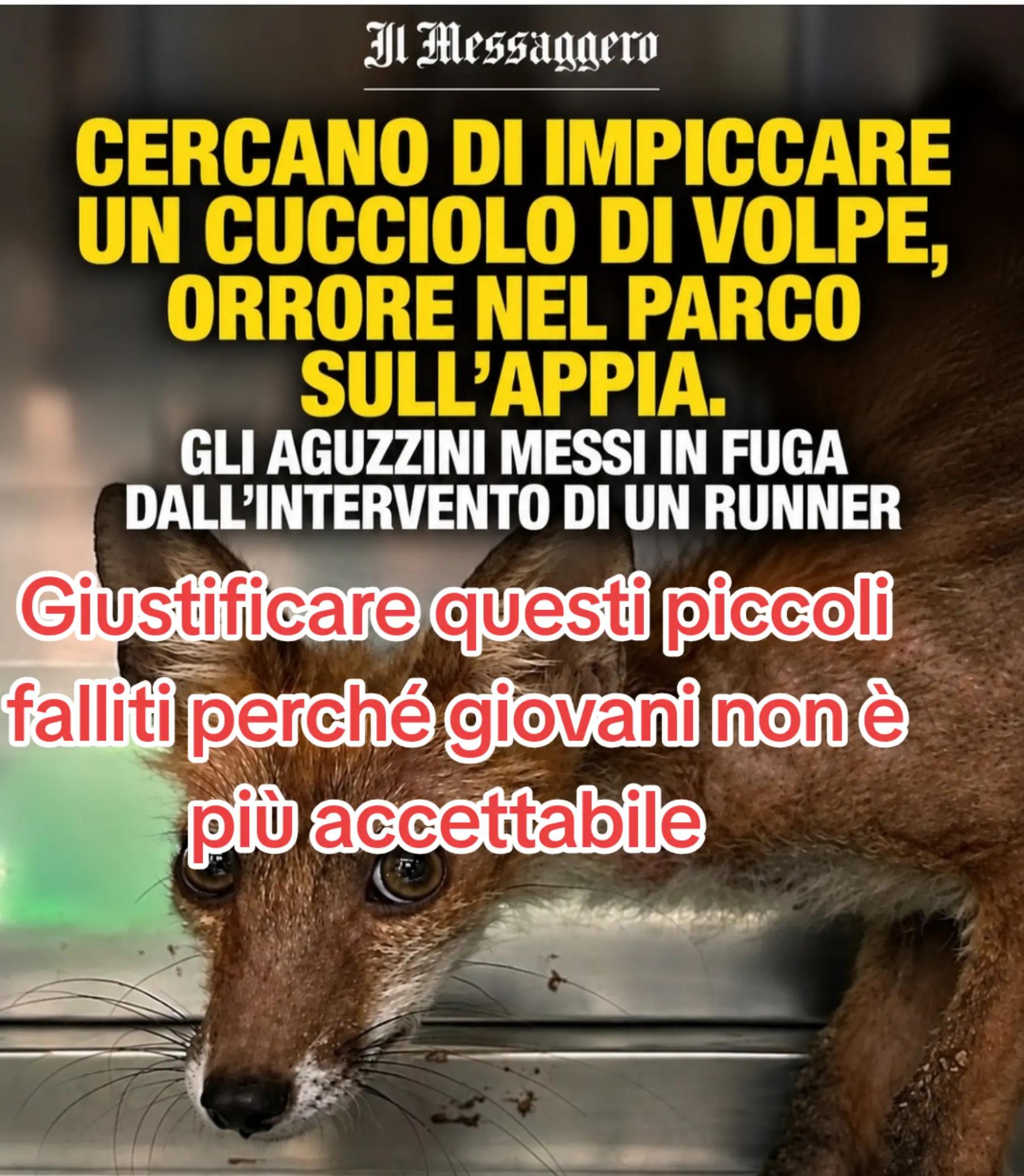 @Eleonora