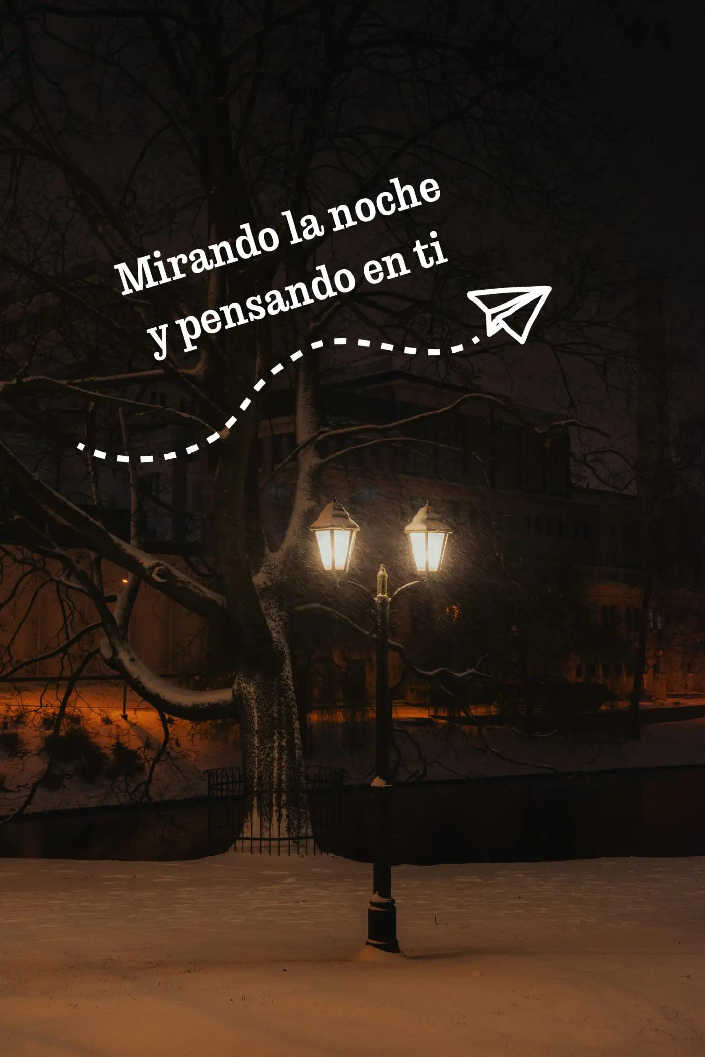 @francisca landaverde