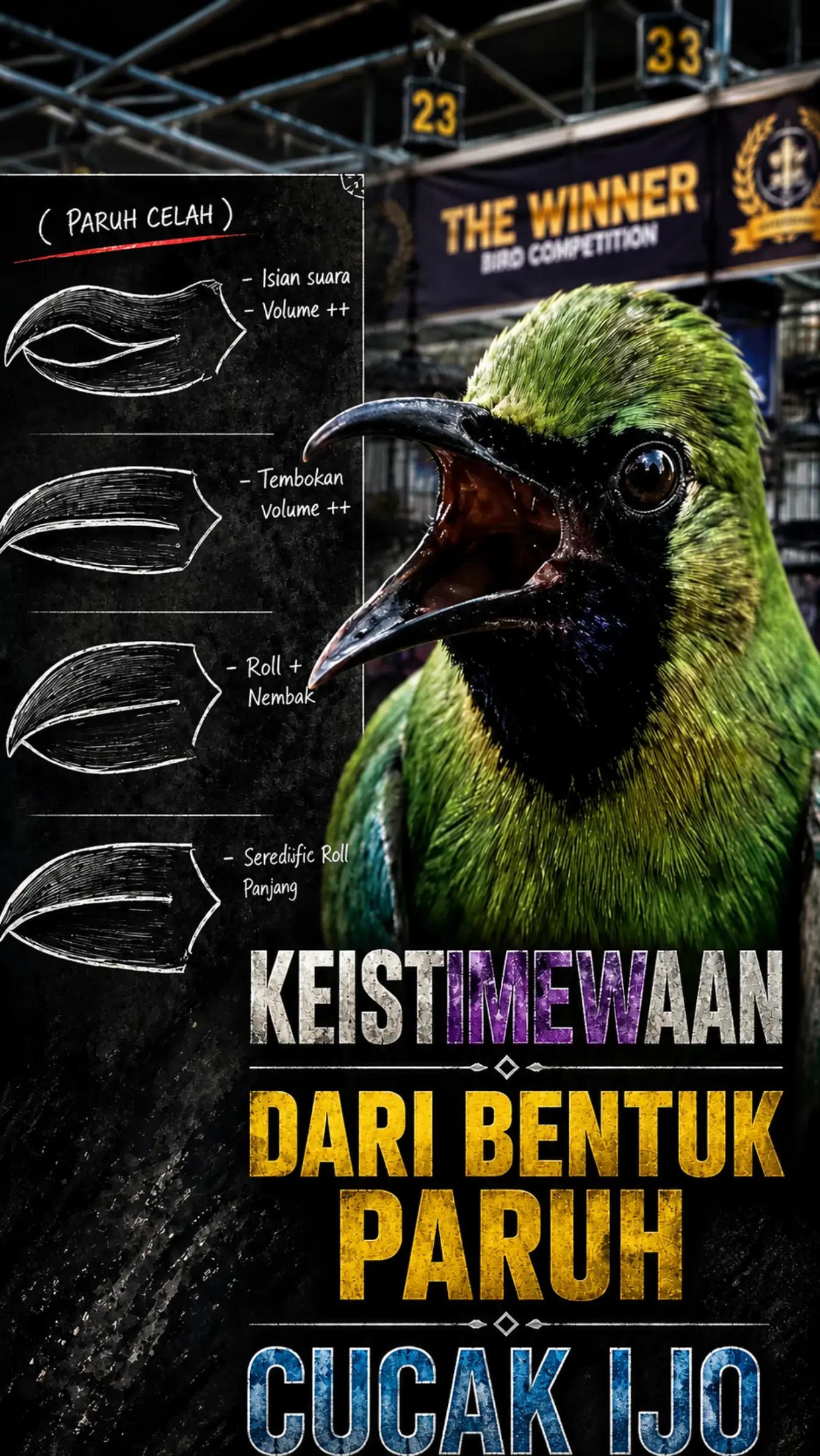 @fbkicaumania
