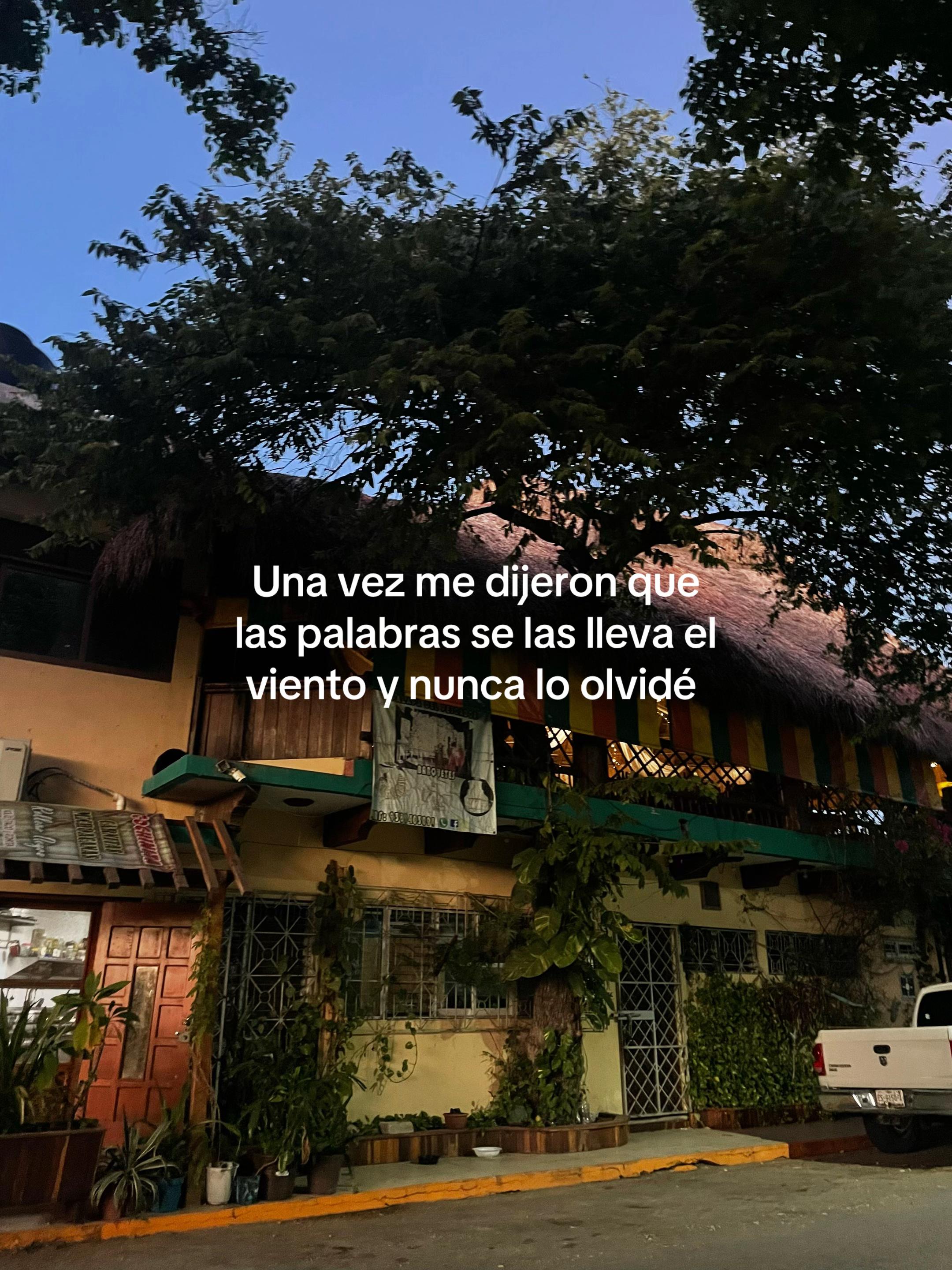 @saju