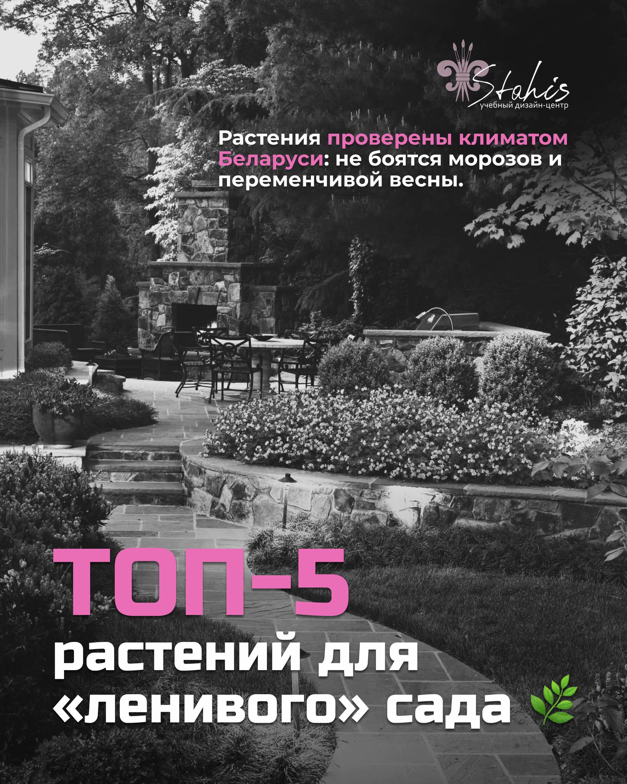 @Учебный дизайн-центр Стахис