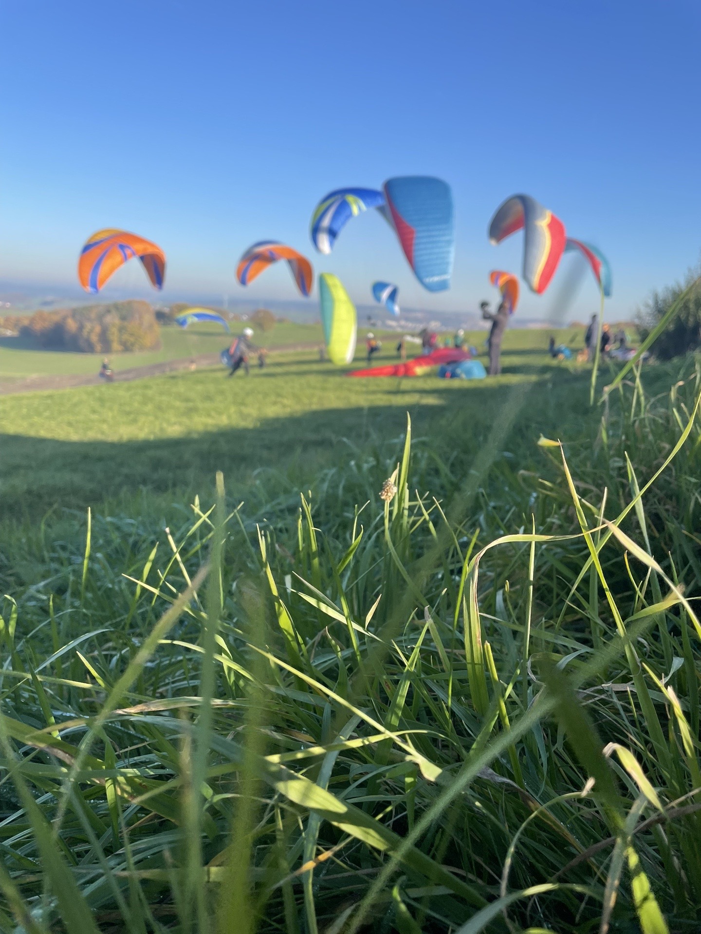 @Paragliding