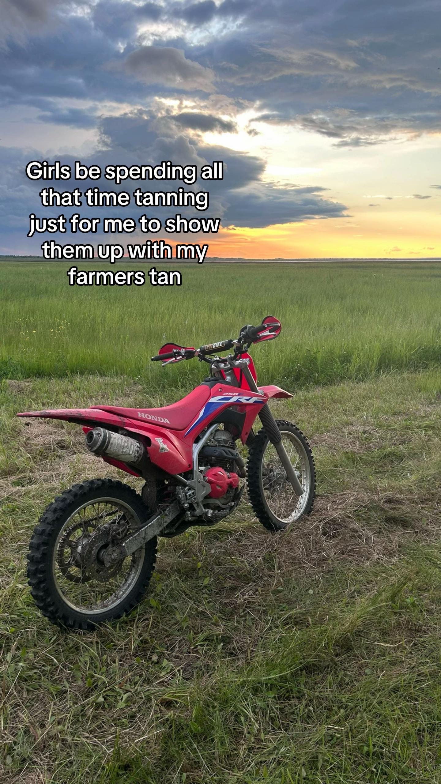 @Dantheman