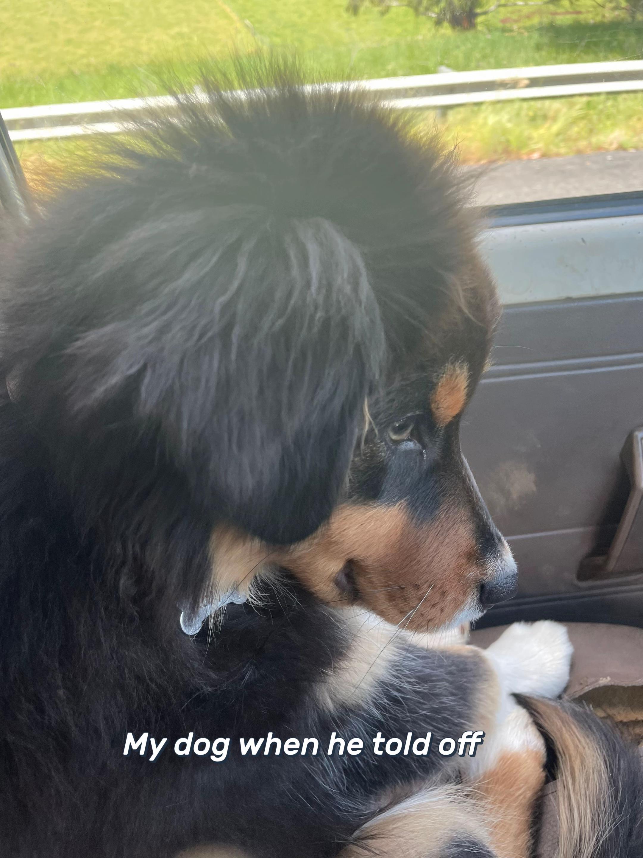 @Tiktok_Gambler
