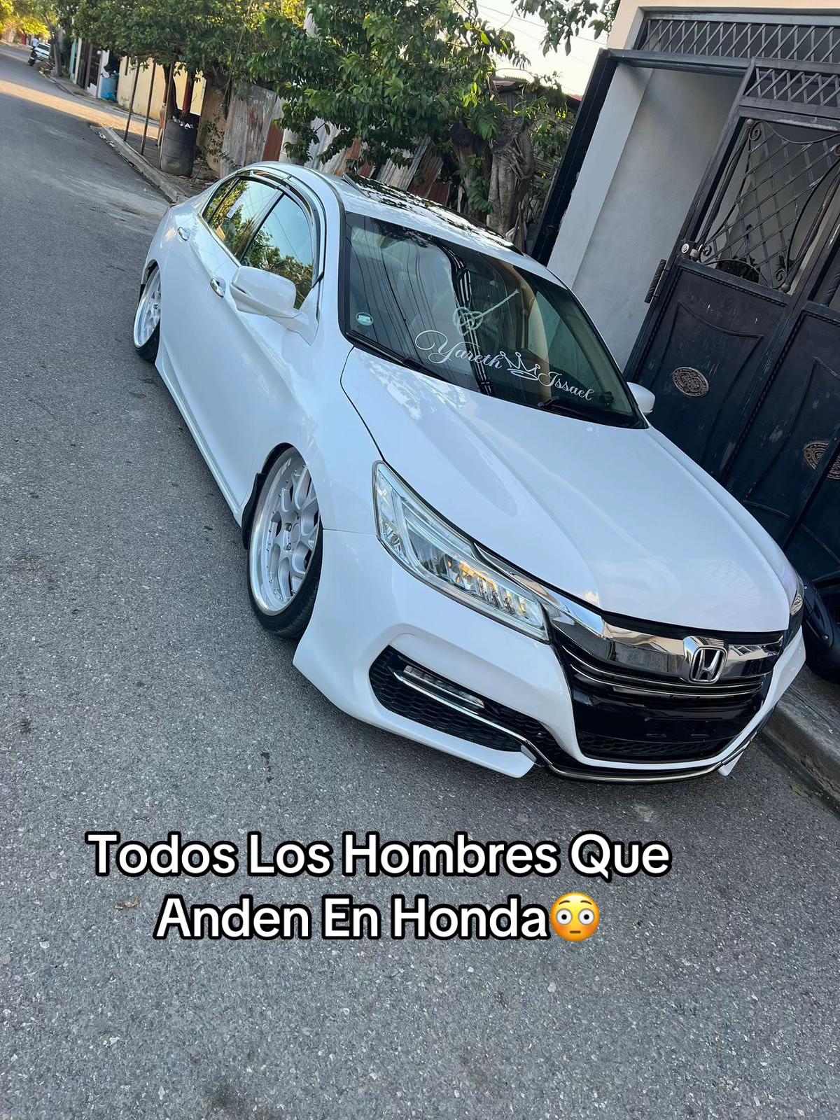 @pelofino.18