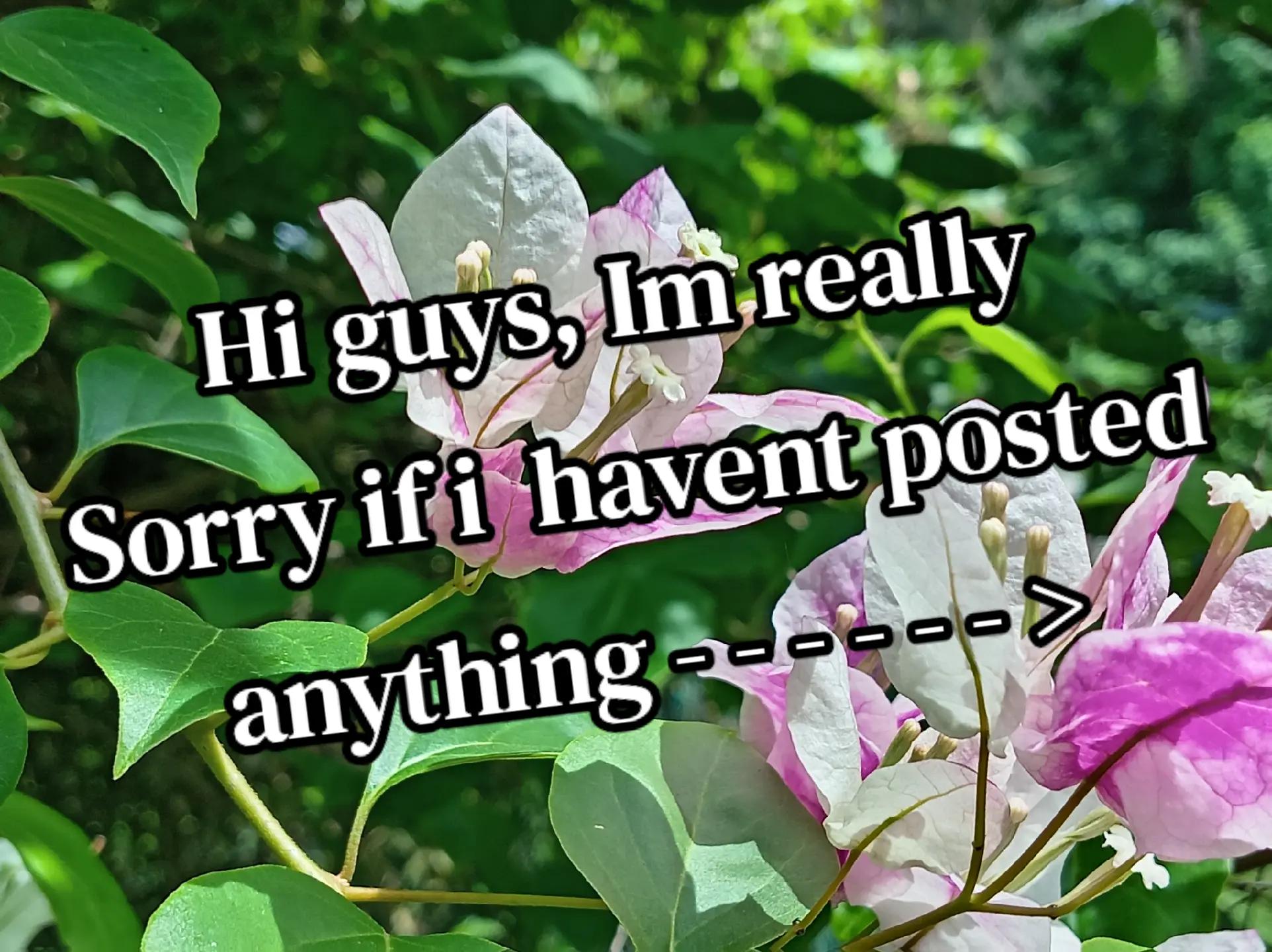 @Hnz.