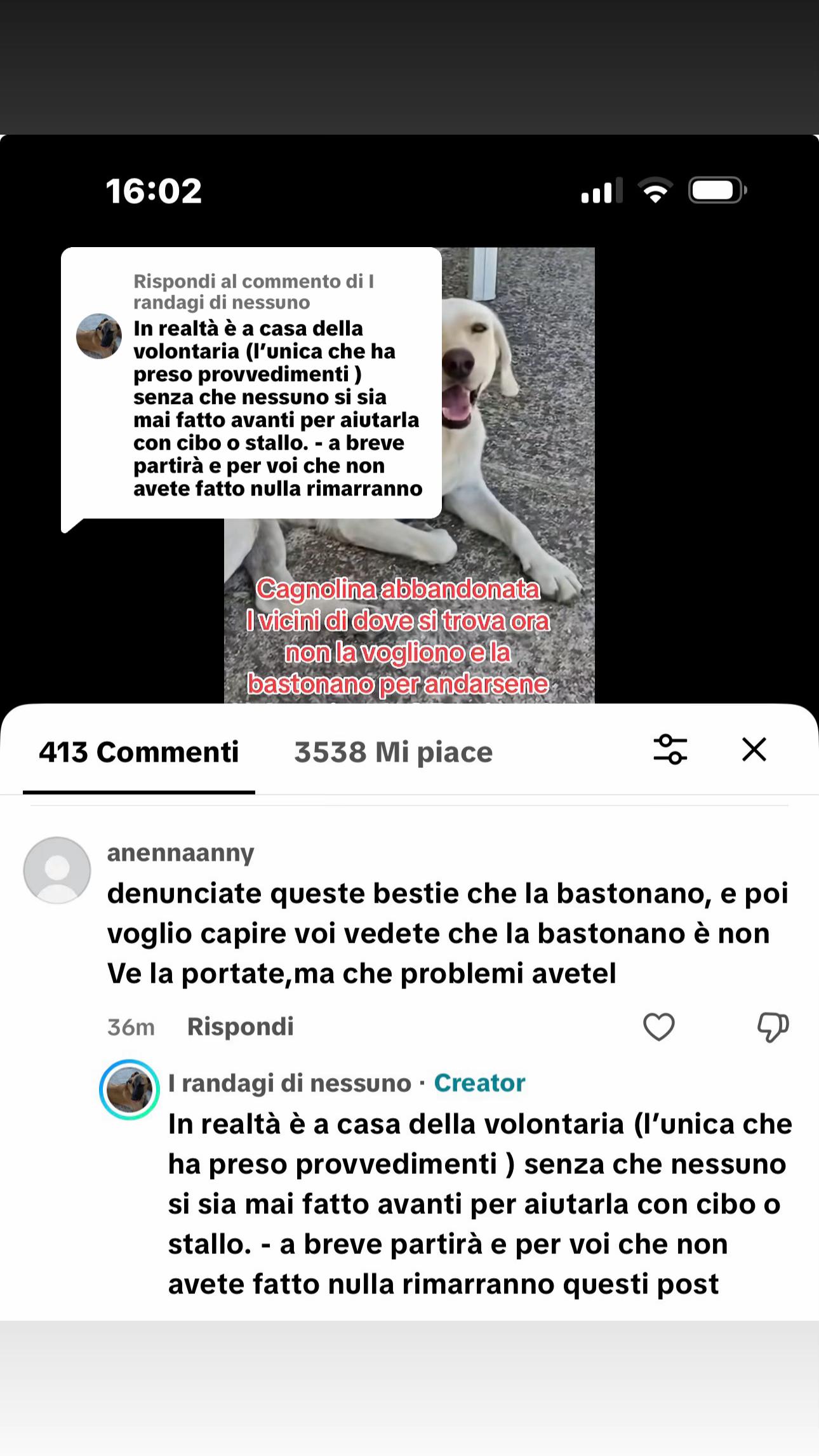 @I randagi di nessuno