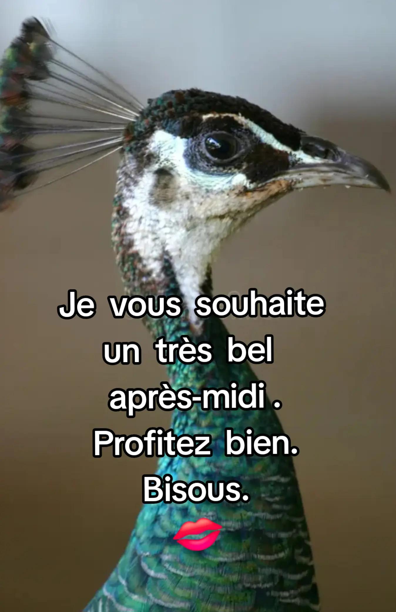 @🌹Douce&passionnée 🌹