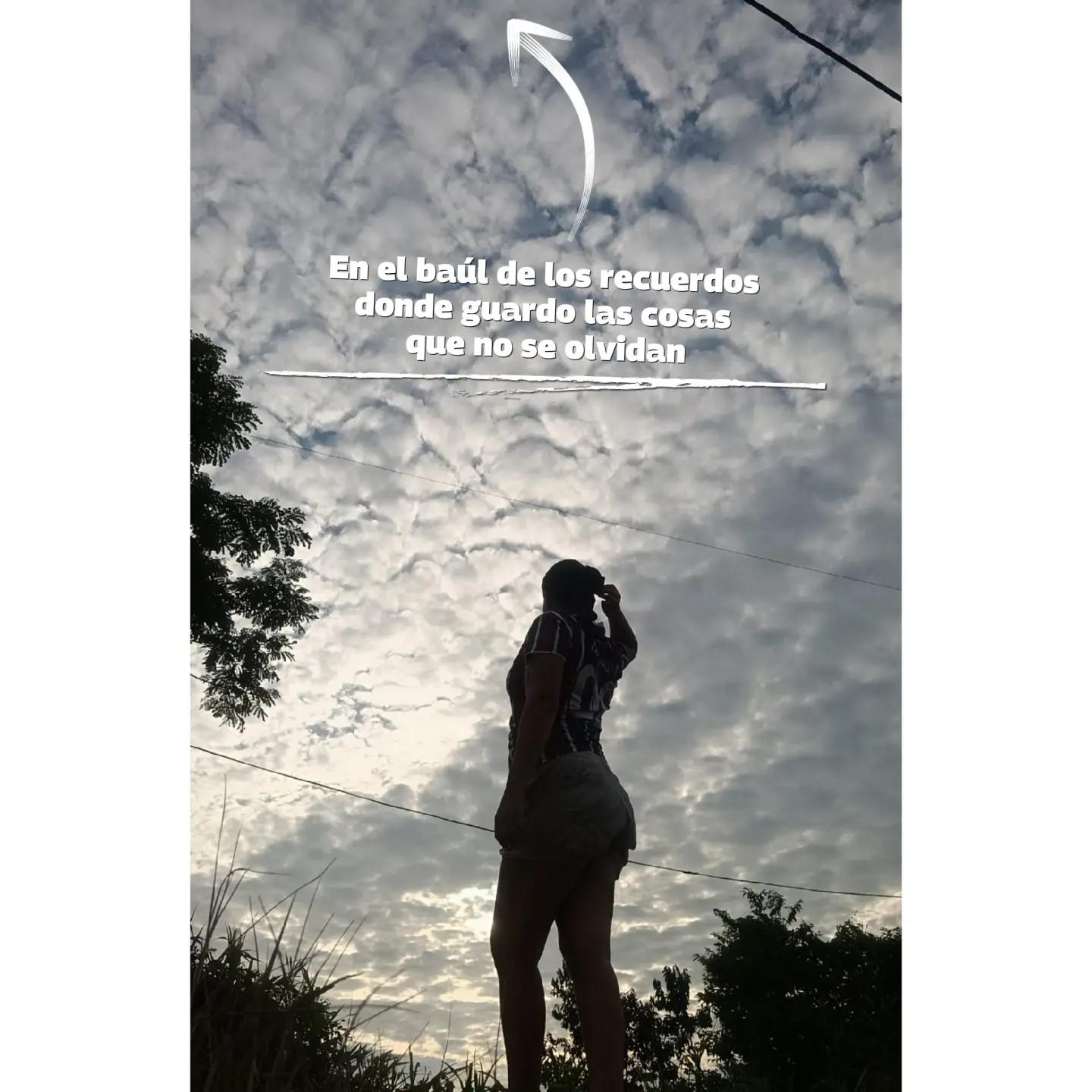 @ᥫ᭡.