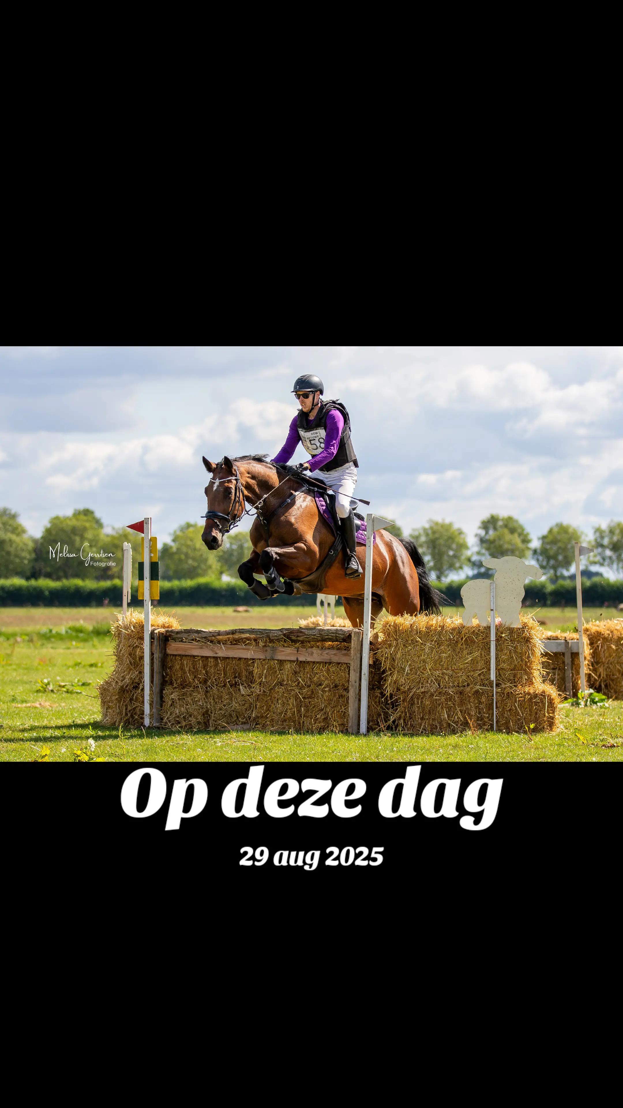@Elegantia Horses
