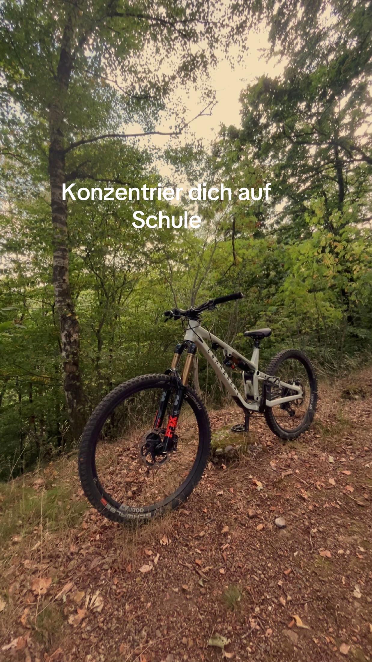 @Freeride_lion2
