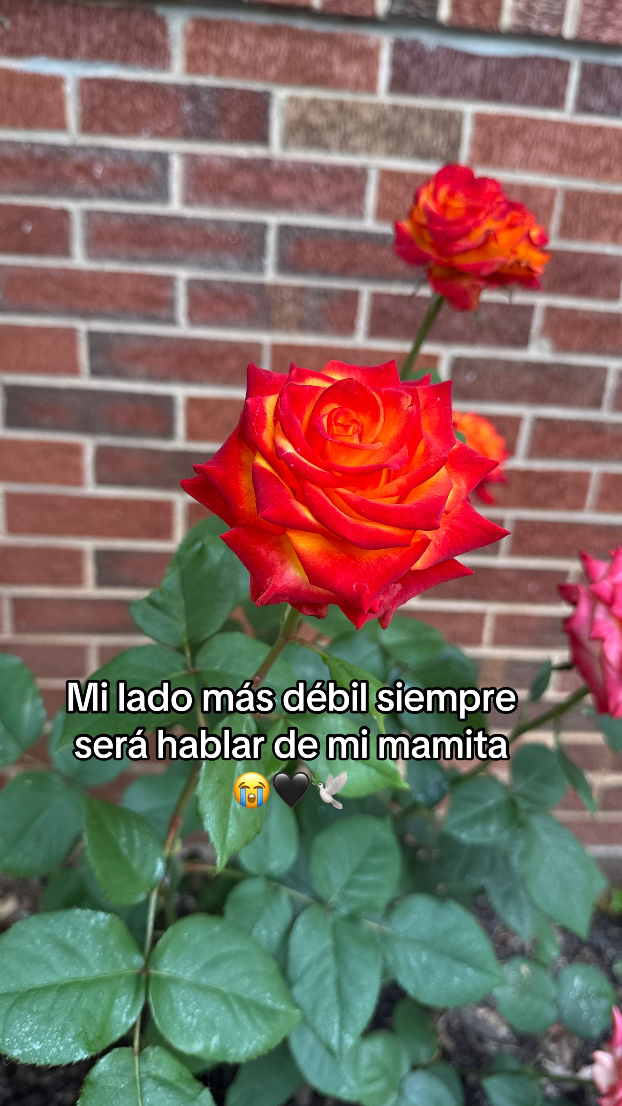 @sandra❤️👶🧑&zwj;🧑&zwj;🧒&zwj;🧒