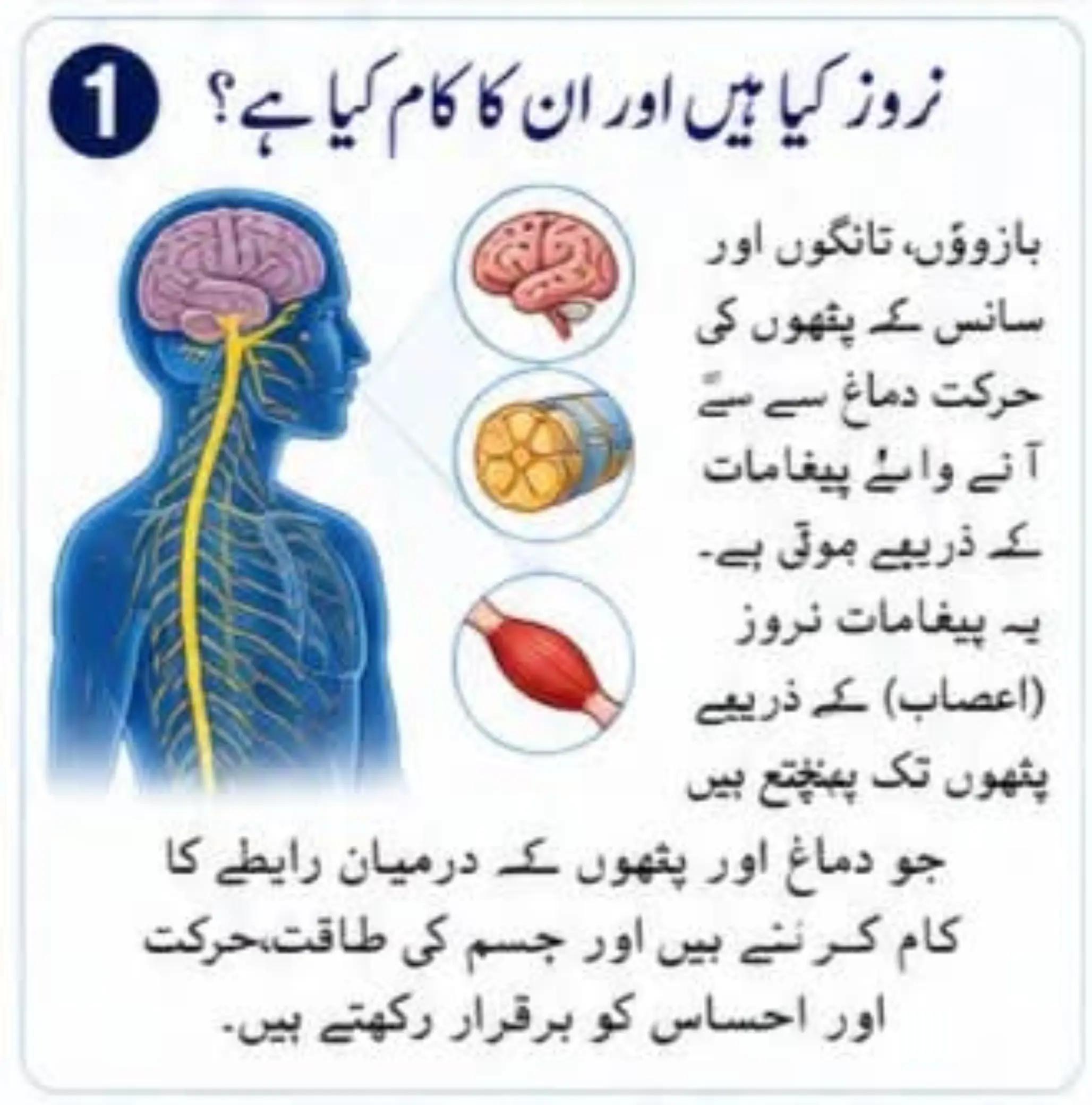 @Dr Arshad Child Neurologist