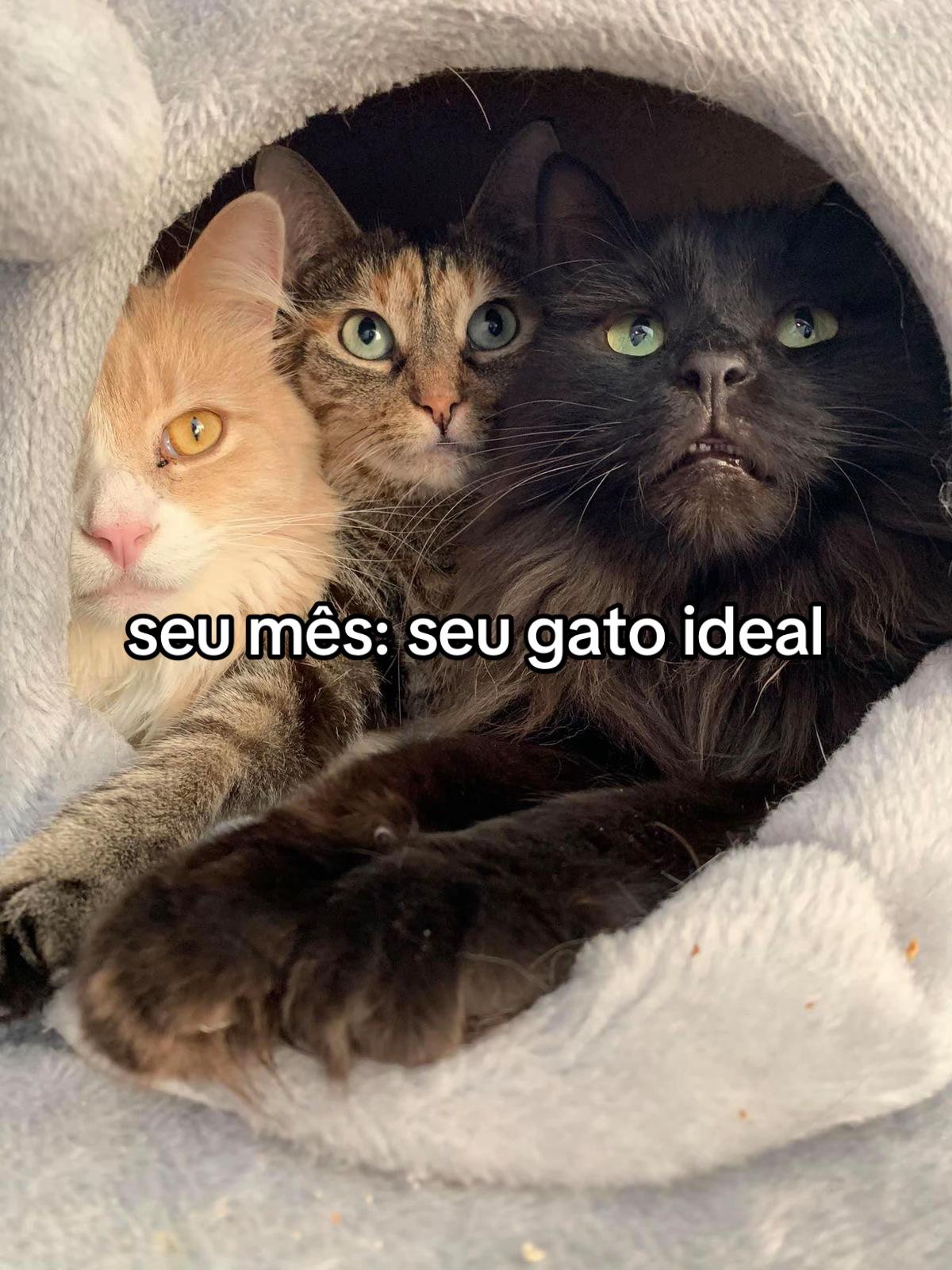 @exemurvy