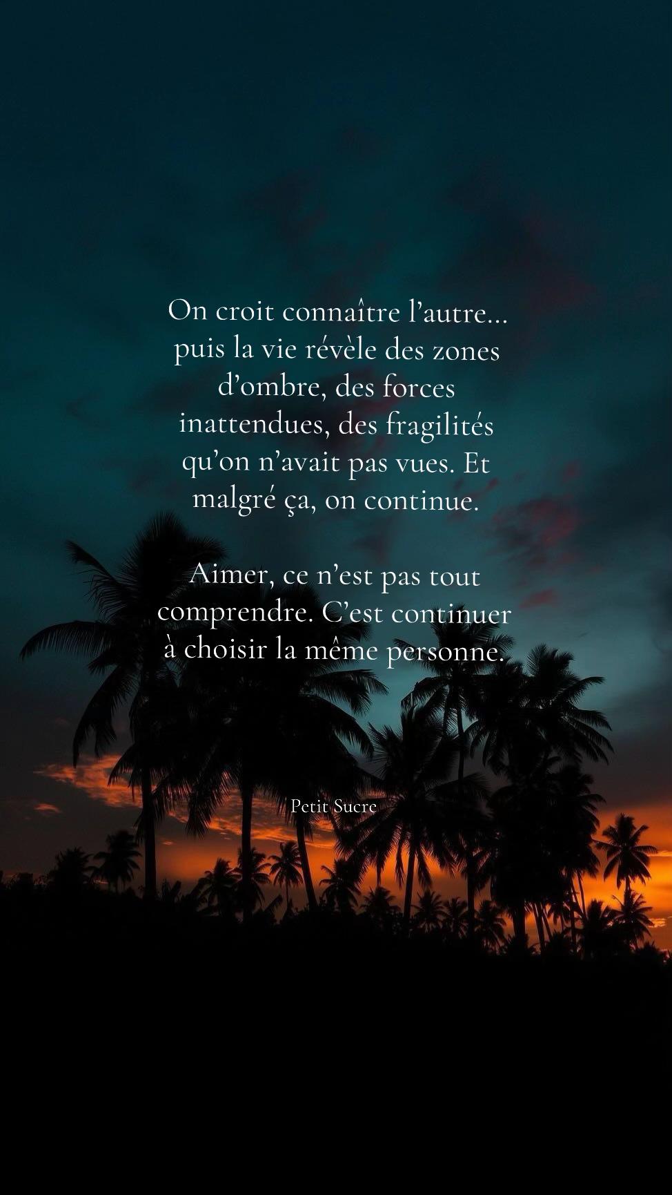 @L’Arche de Petit Sucre ౨ৎ.