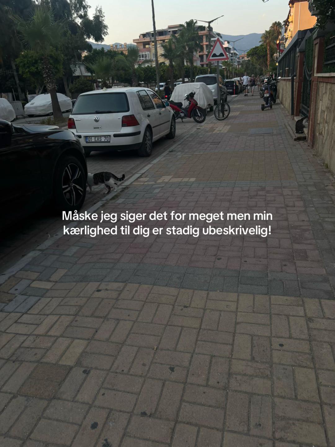 @REPOST
