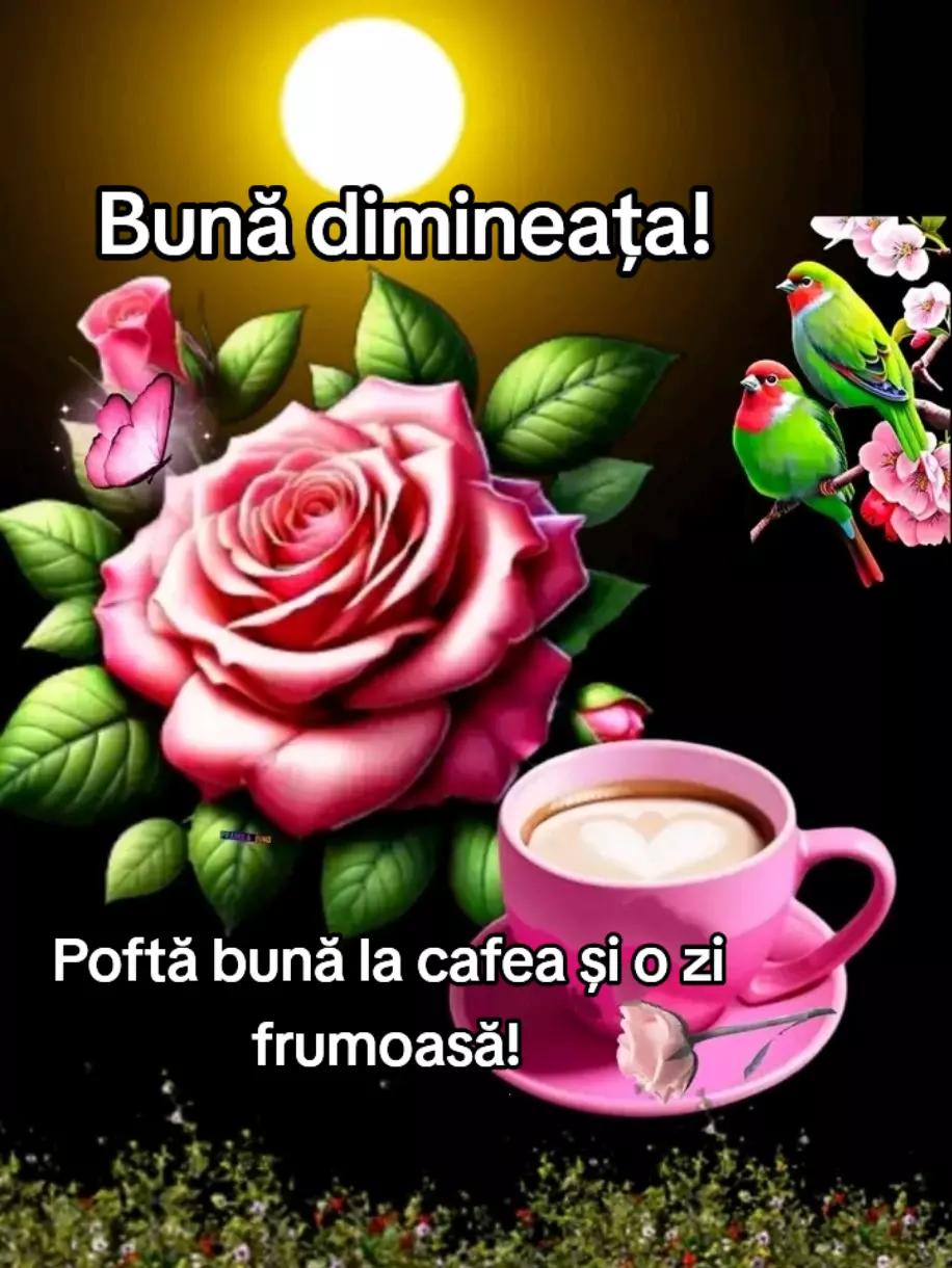 @Corina 😘🤩