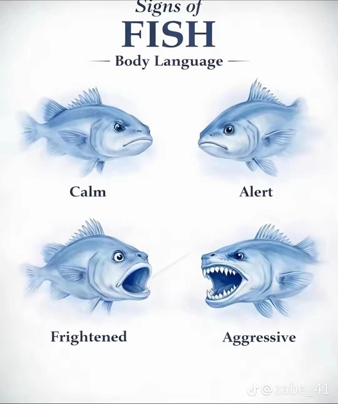 @fishfluencer_de