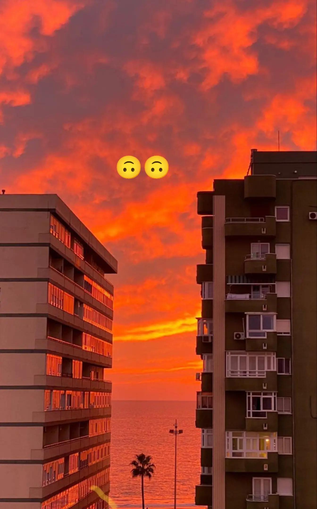 @FlorărieVaslui