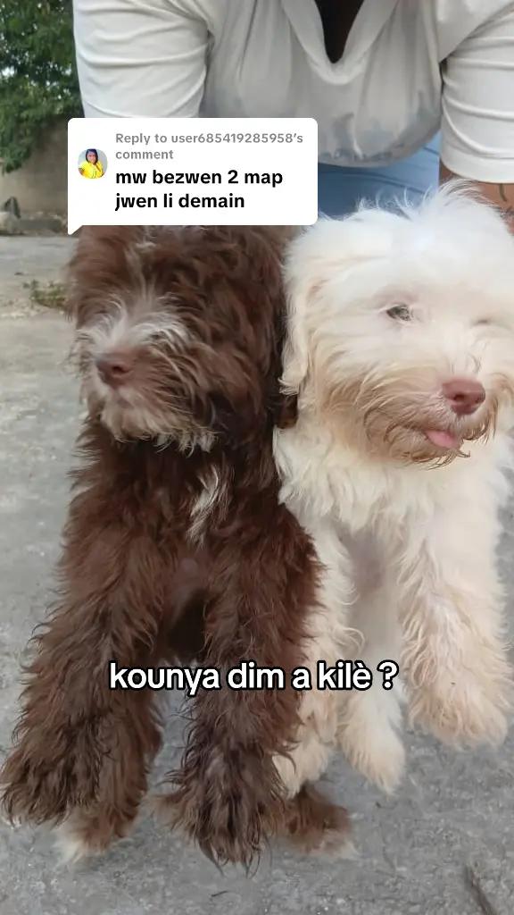 @Bendog