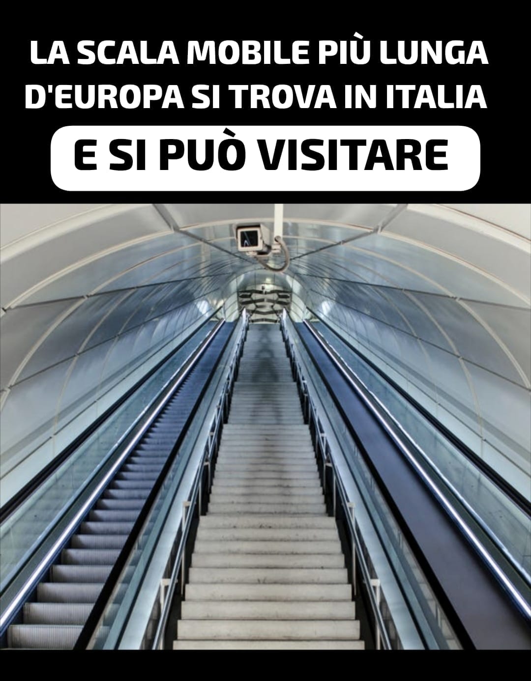 @Liliana Cavaliere