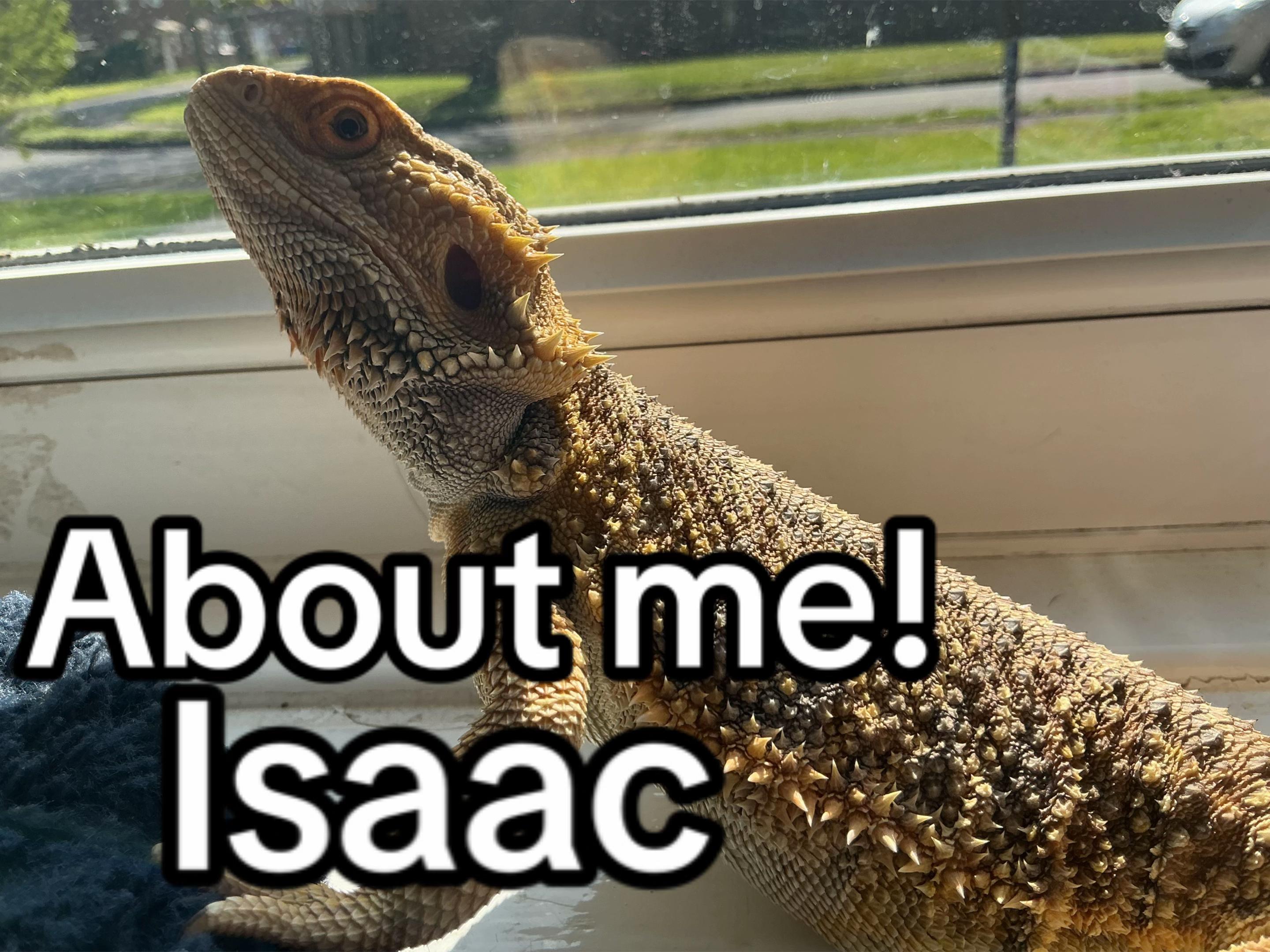 @isaac_edaly🦎