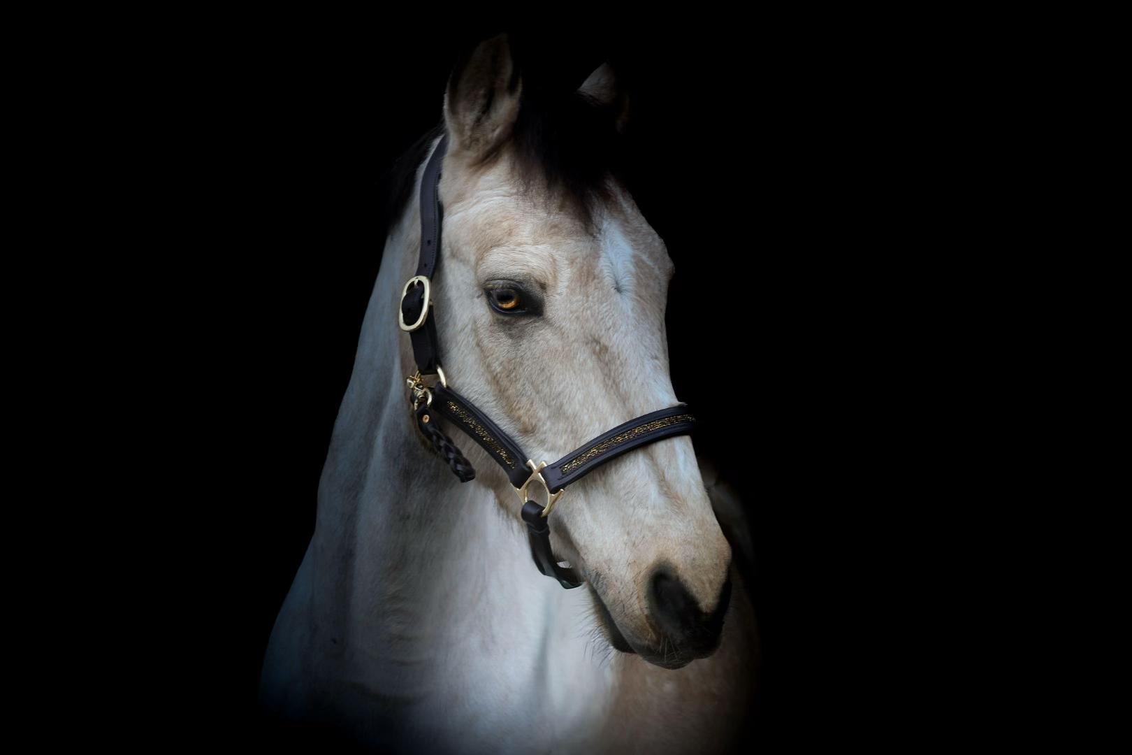 @Click Fotografie 💗✨