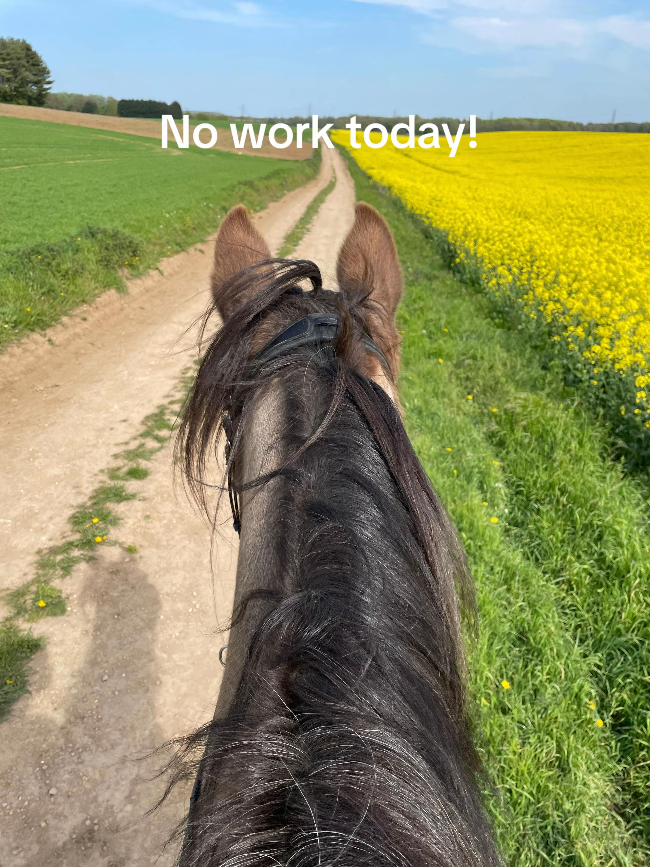@Handmade By Horse-mania