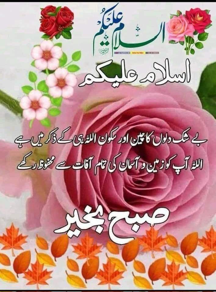 @M Nazir