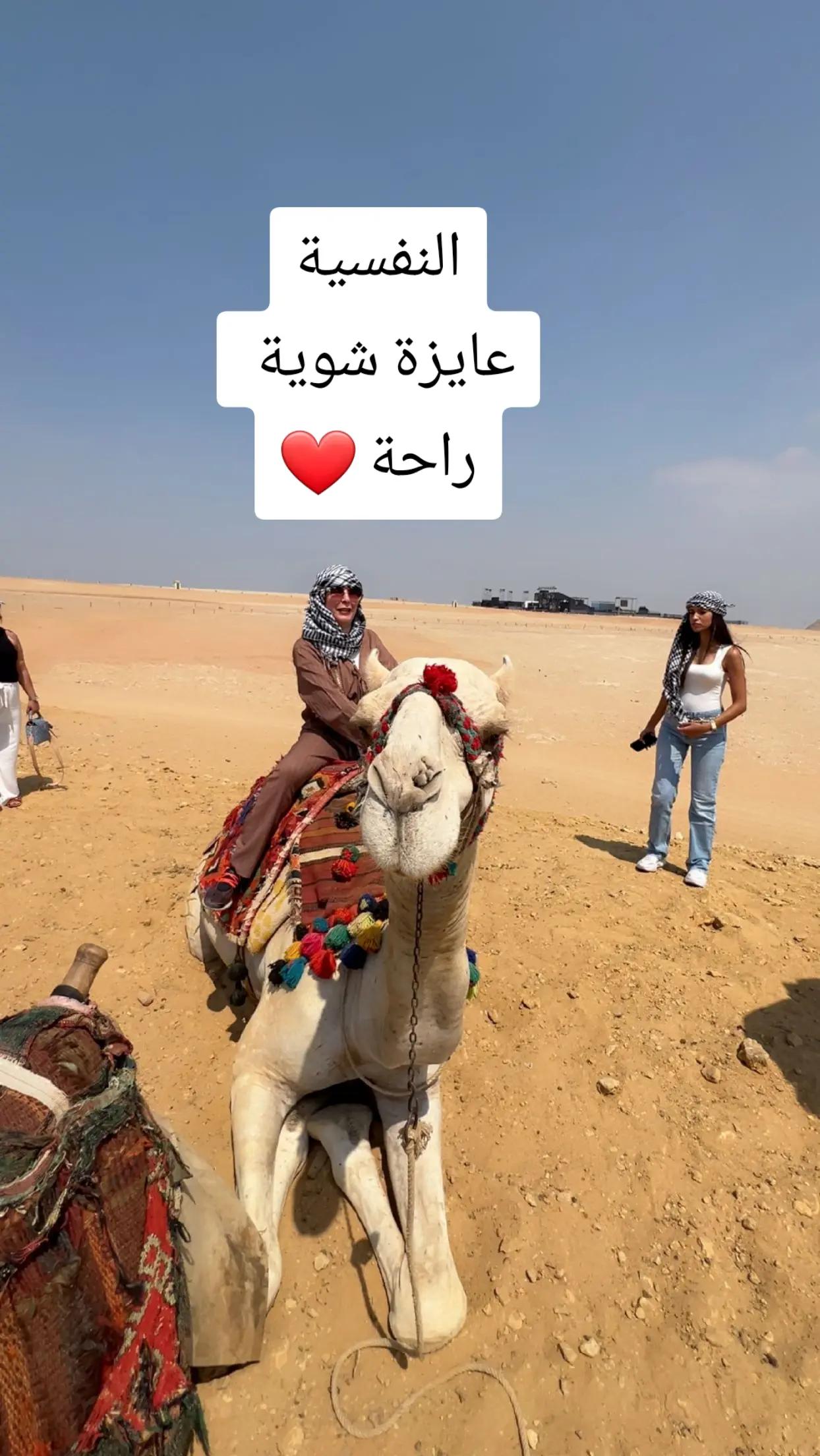 @dz31