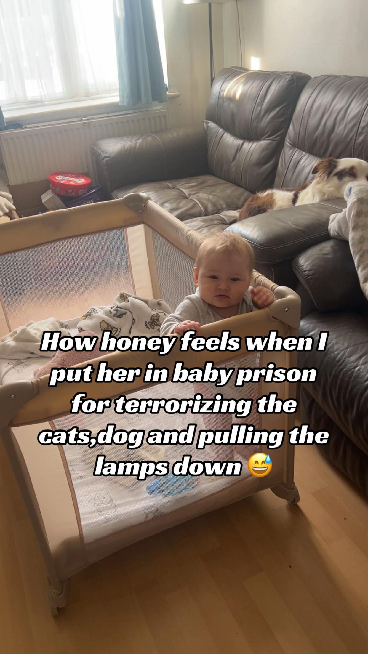 @𝒜𝓈𝒽𝓁𝑒𝒾𝑔𝒽 𝓌𝒶𝓉𝓉𝓈