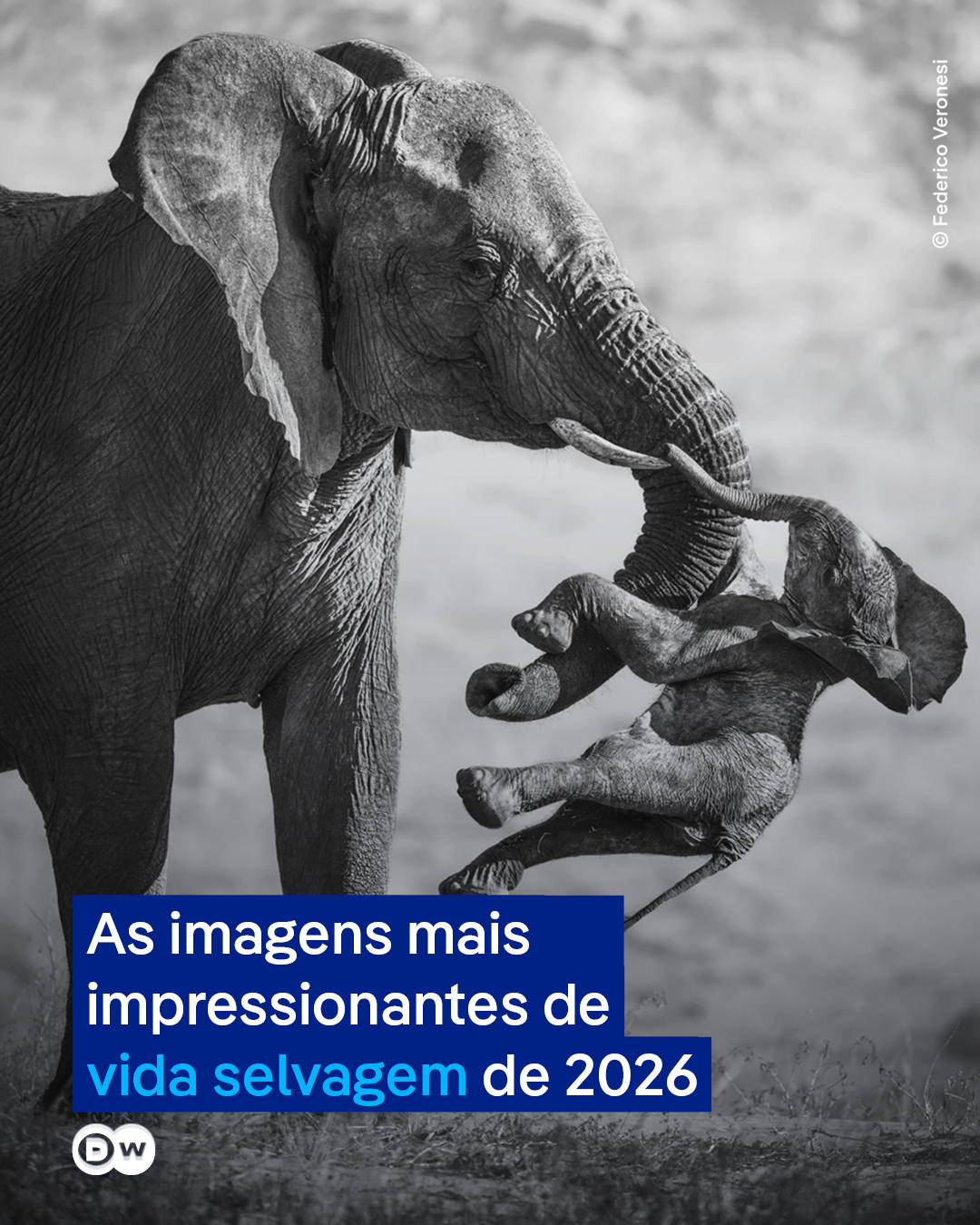 @DW Brasil