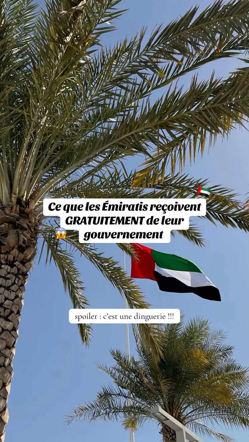 @Le couple UAE | Sharjah 🇦🇪