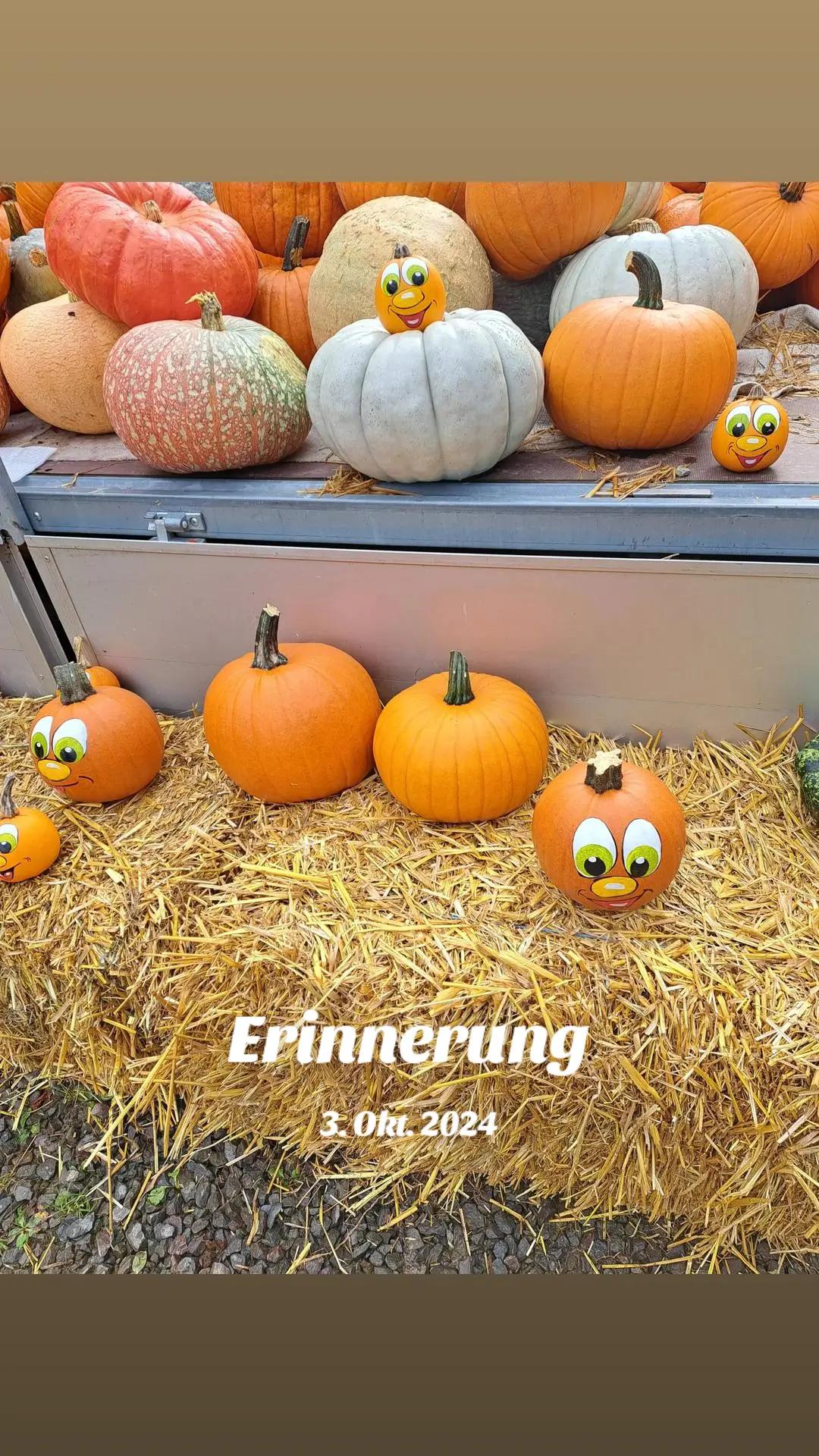 @birgit.hohleweg