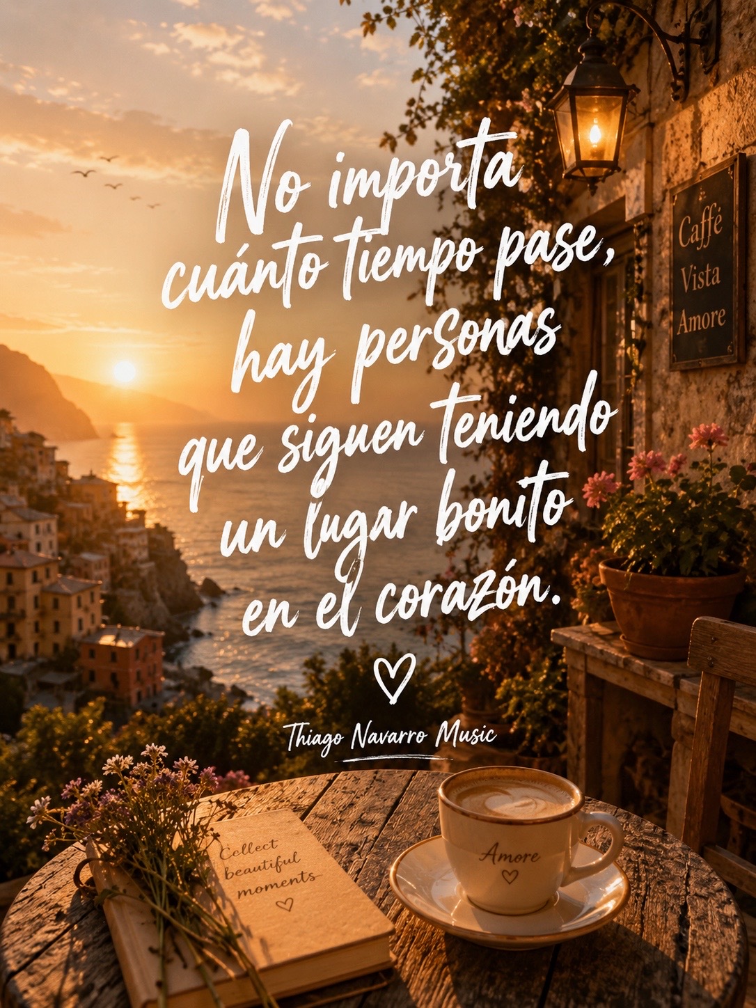 @Thiago Navarro Music