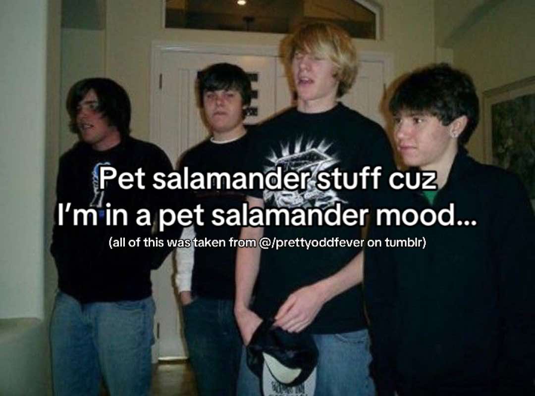 @petsalamanderonline