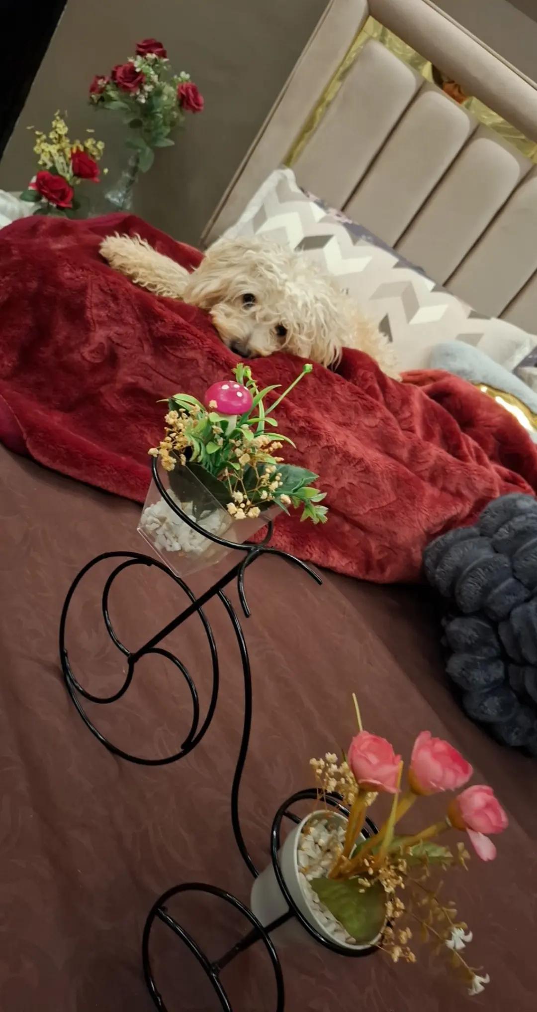 @♡♡Ly Dia ♡♡ 06