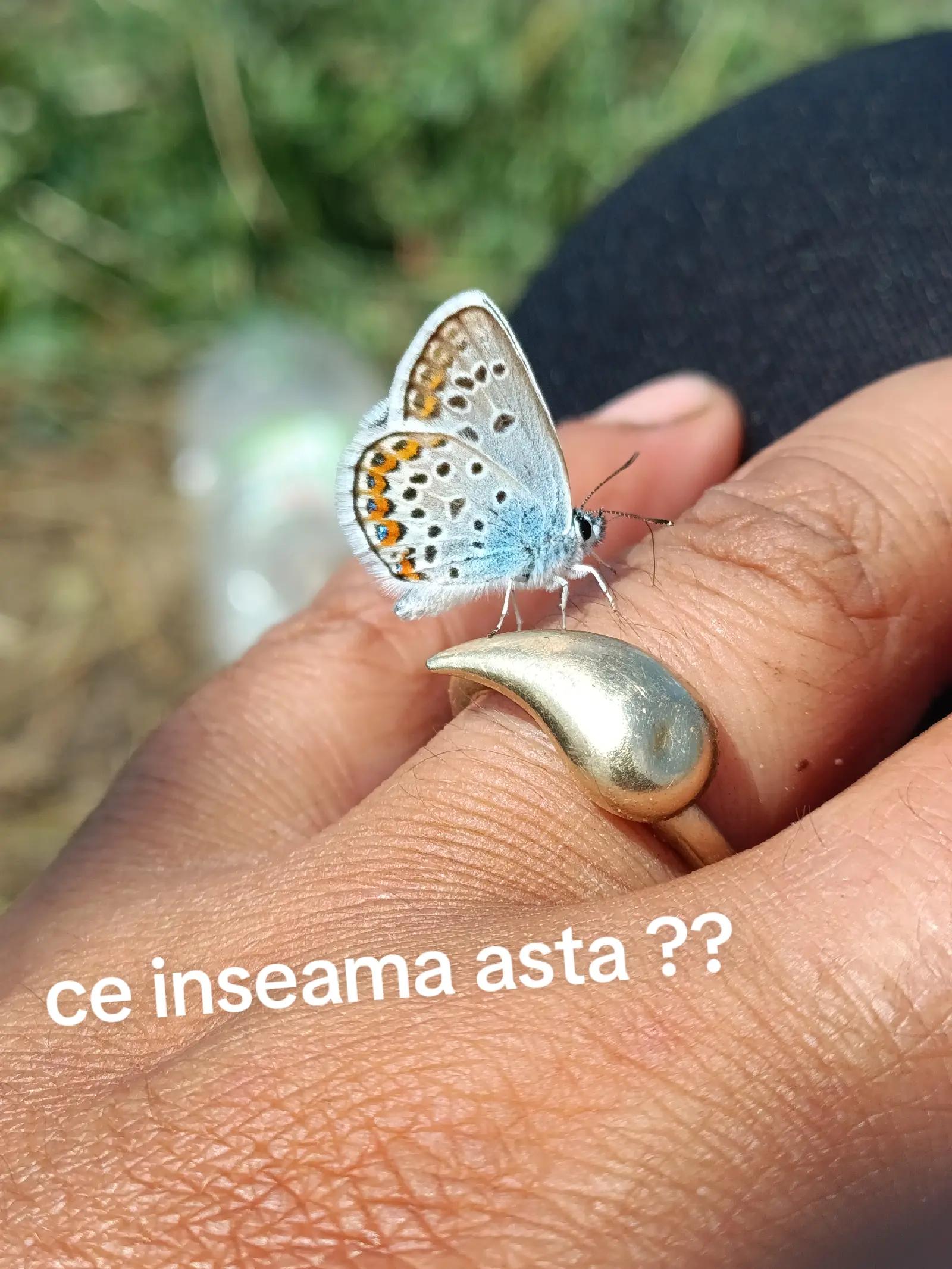 @lavilavinia🖤