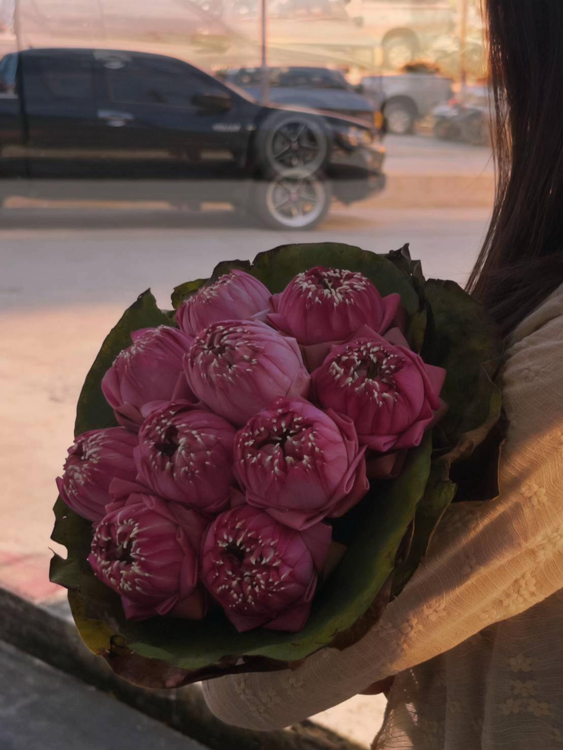 @พอชอพอ