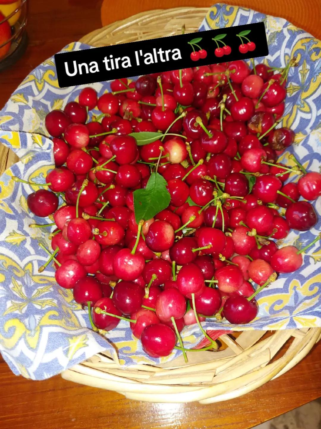@ELE..meglio folli che noiosi