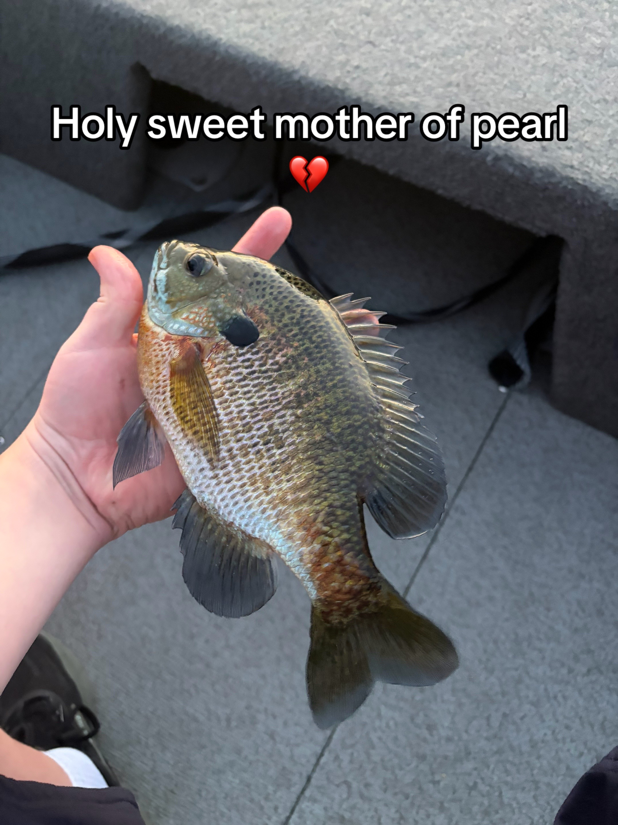 @Daniel🎣🦌🇺🇸