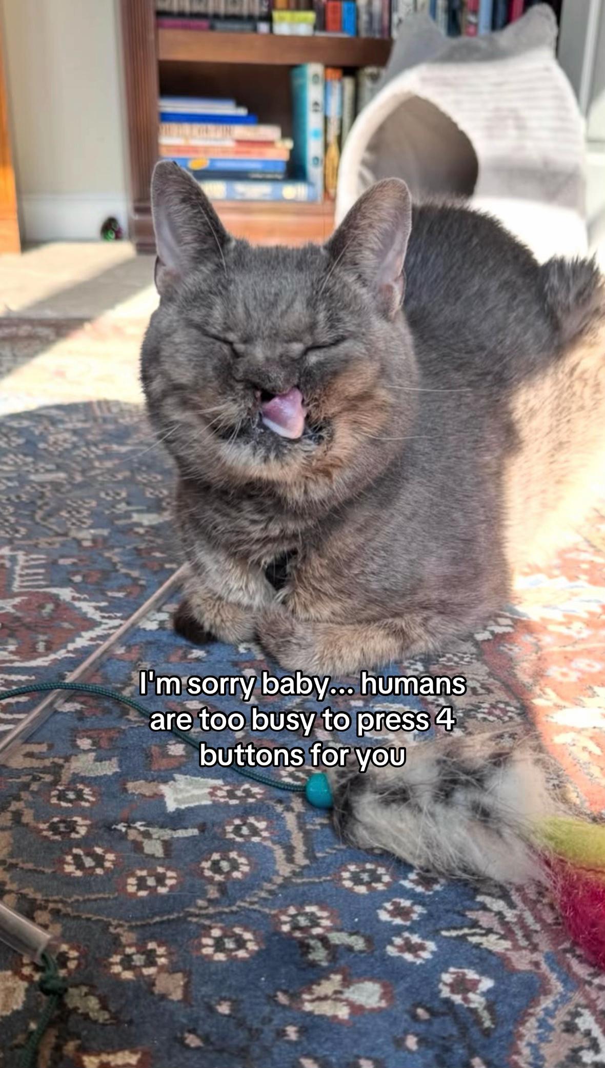 @Hope for Kindness