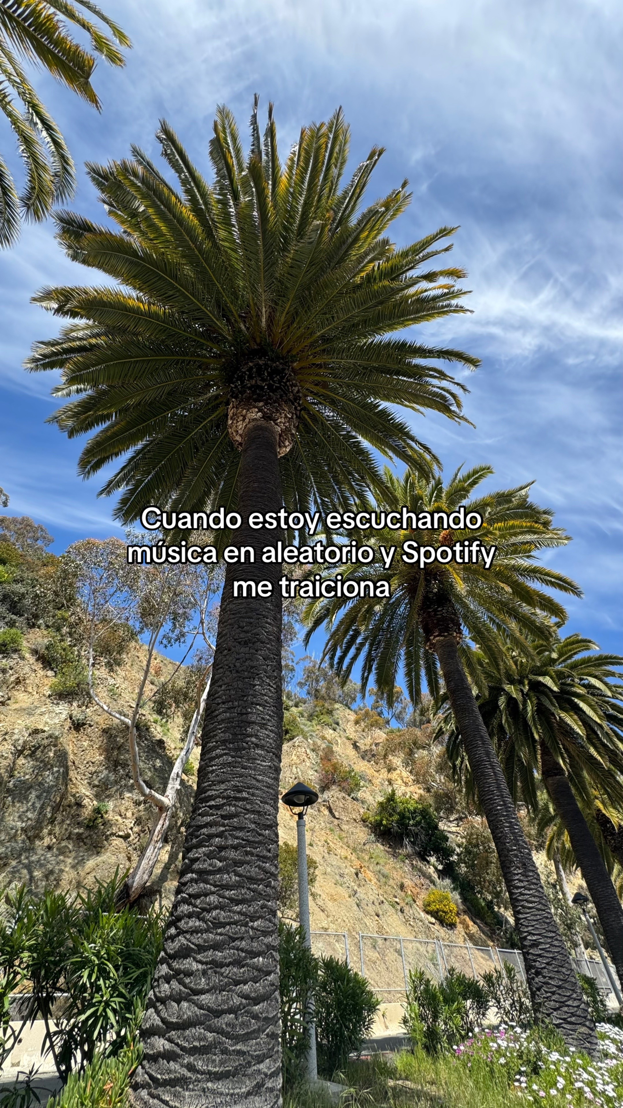@Music On Repeat