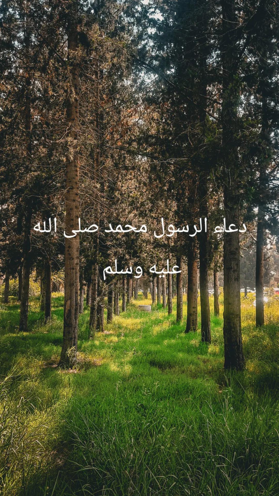 @القرآن الكريم