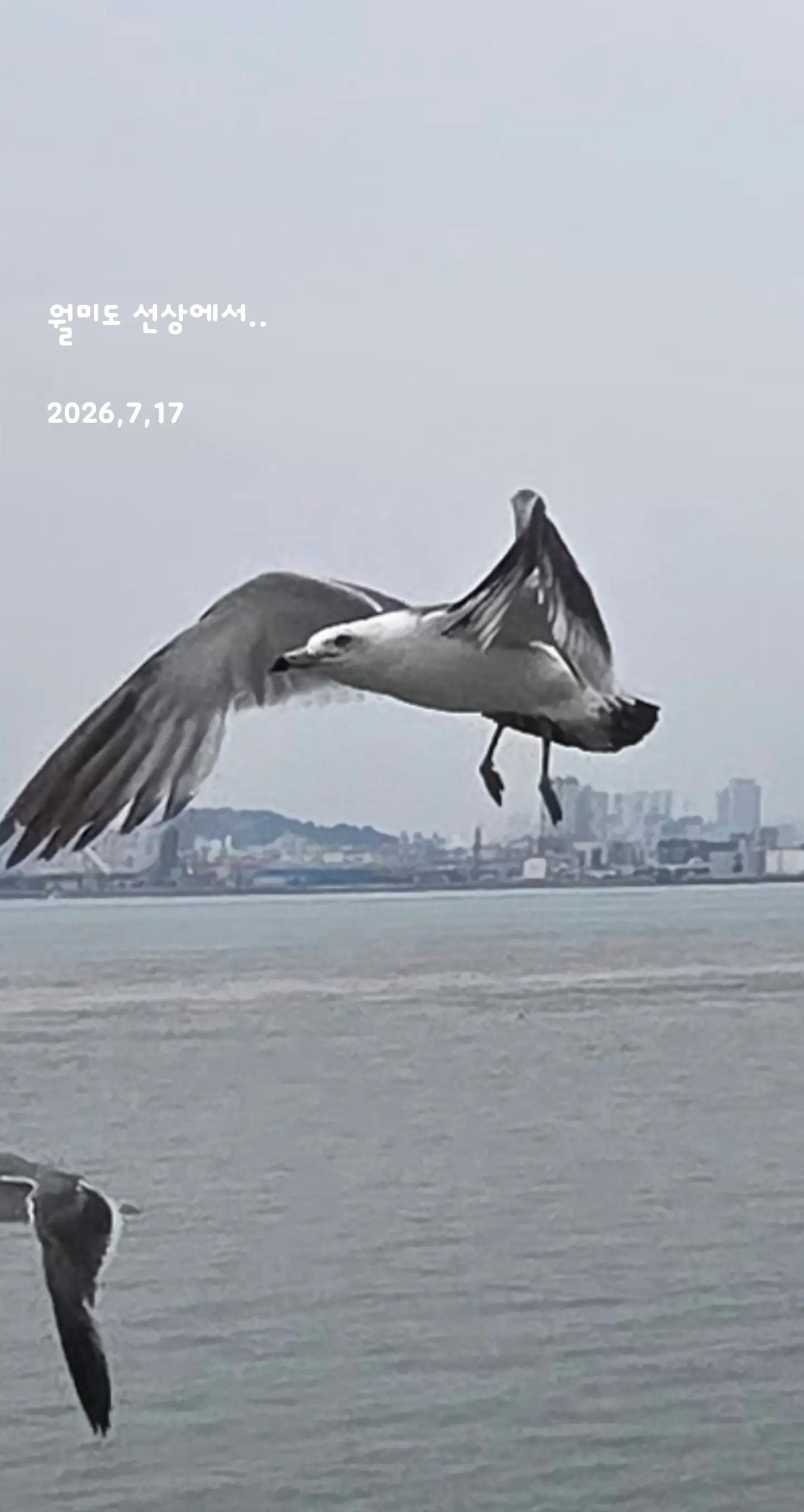 @참파