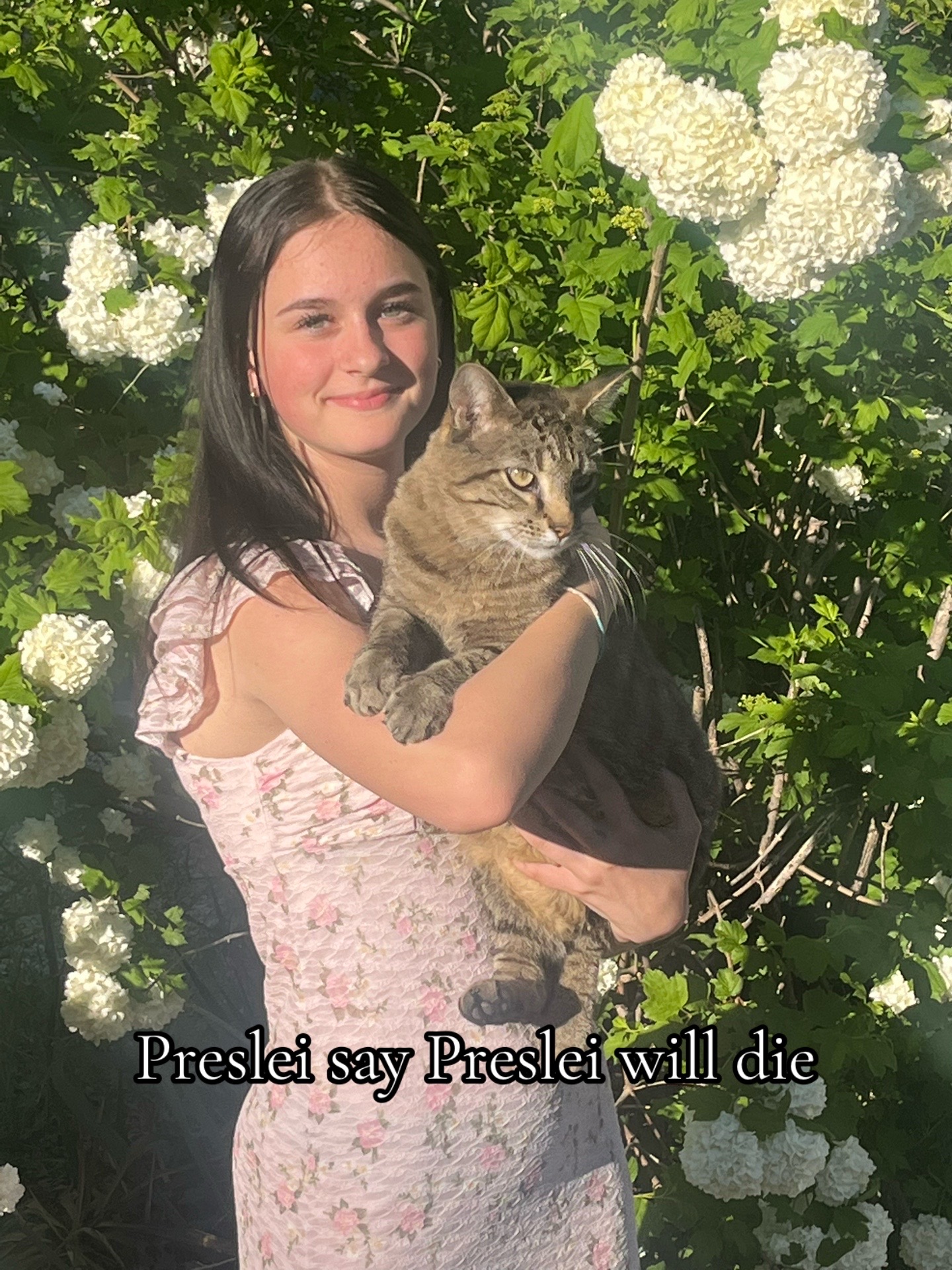 @💐Preslei💐