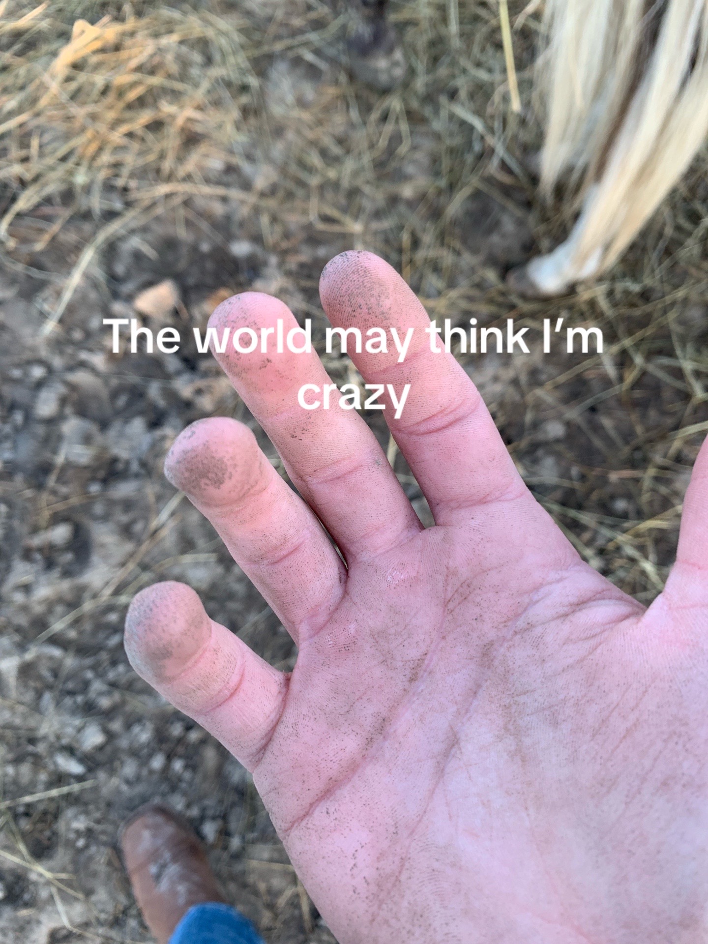 @dumbcountry