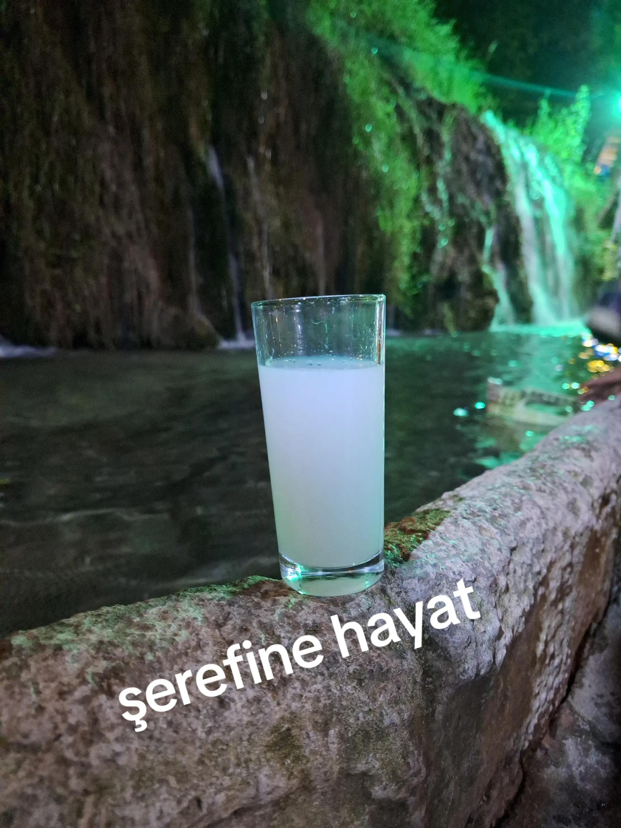 @sultan Şen